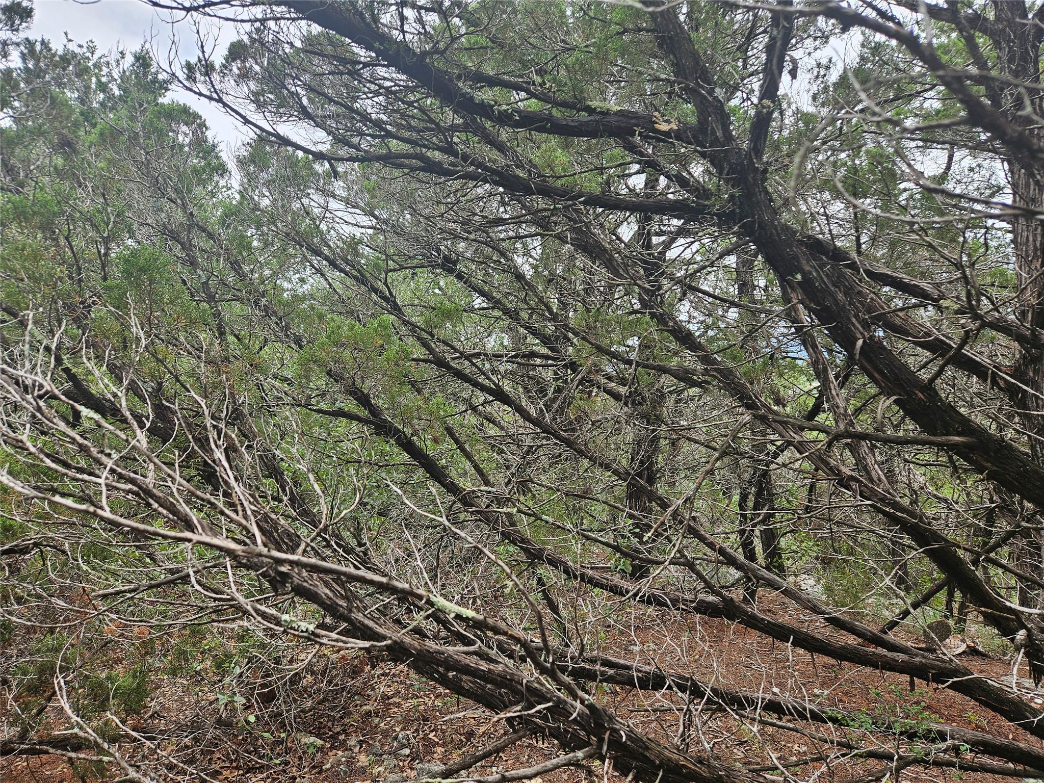 20465 Adobe Trl, Lago Vista, TX 78645