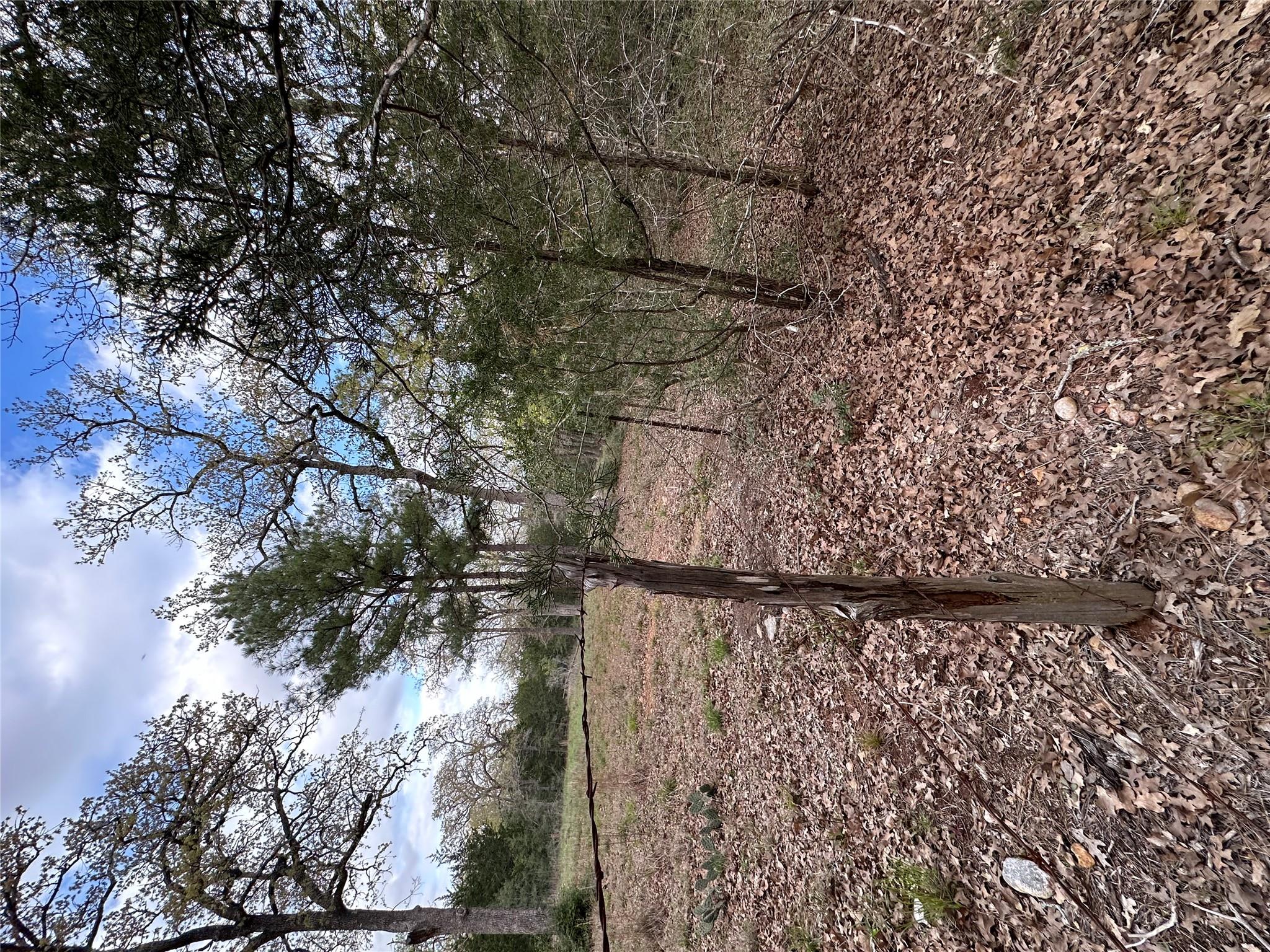 547 S. Old Potato Dr, Paige, TX 78602