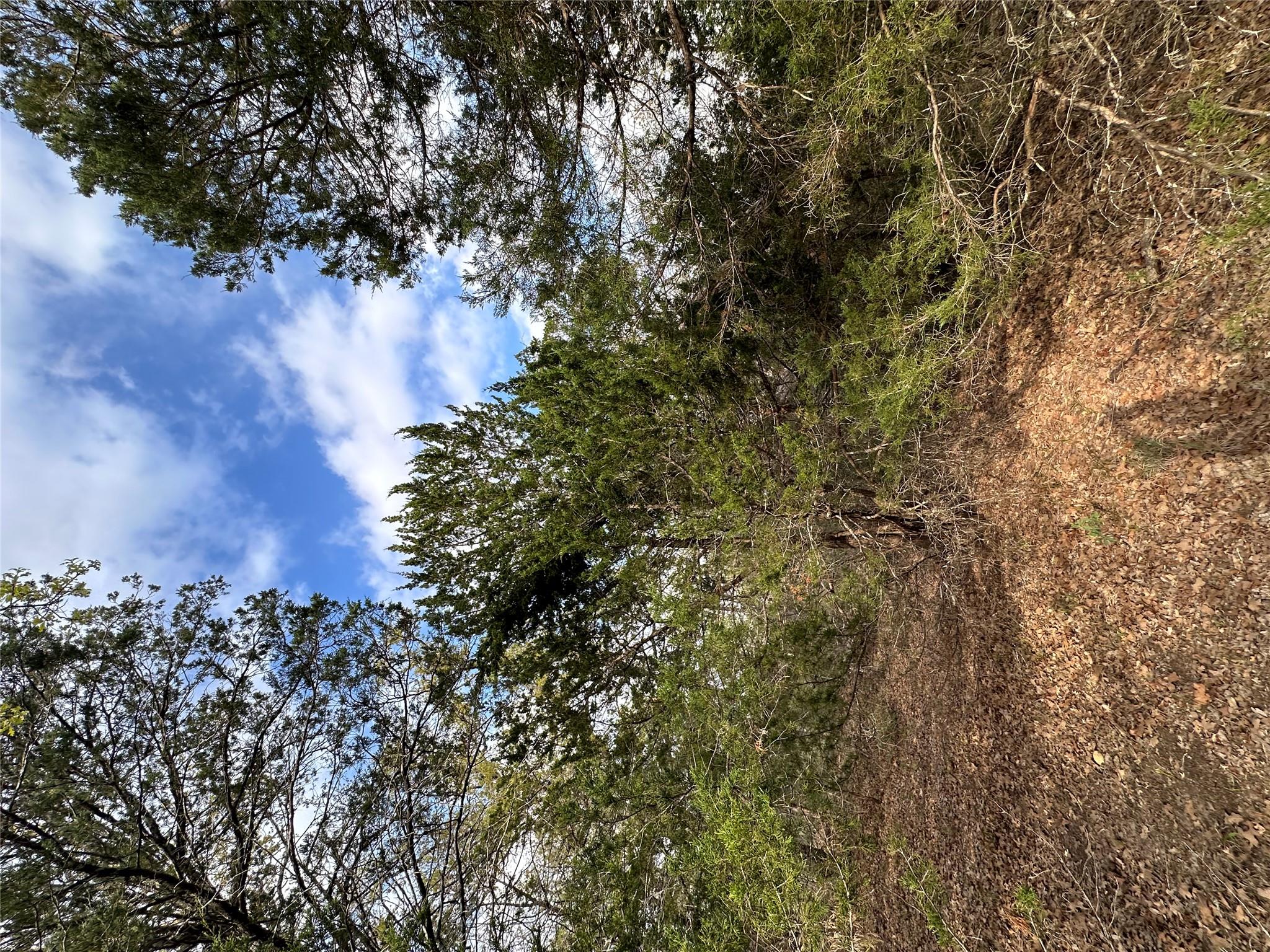 547 S. Old Potato Dr, Paige, TX 78602