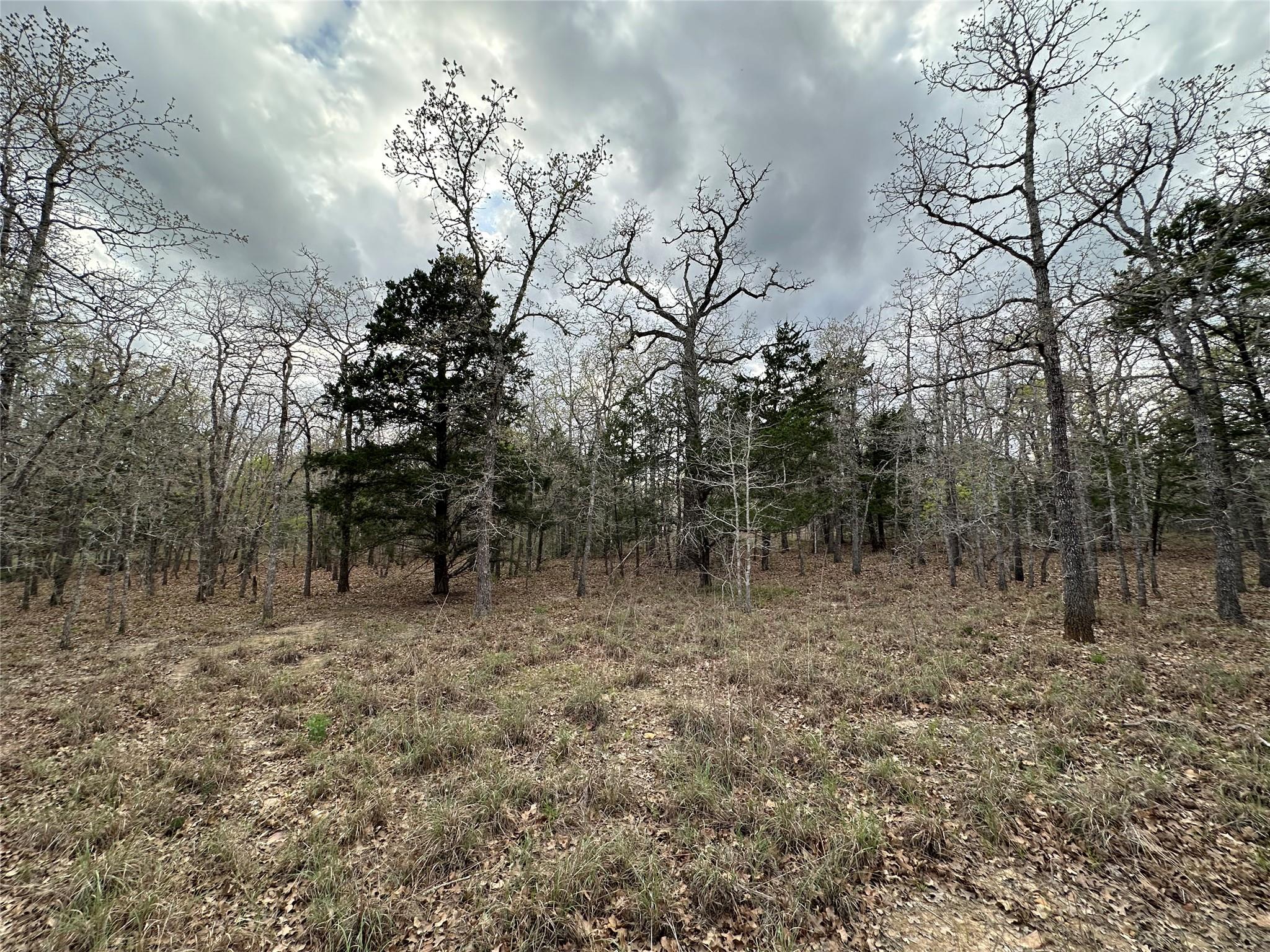 547 S. Old Potato Dr, Paige, TX 78602