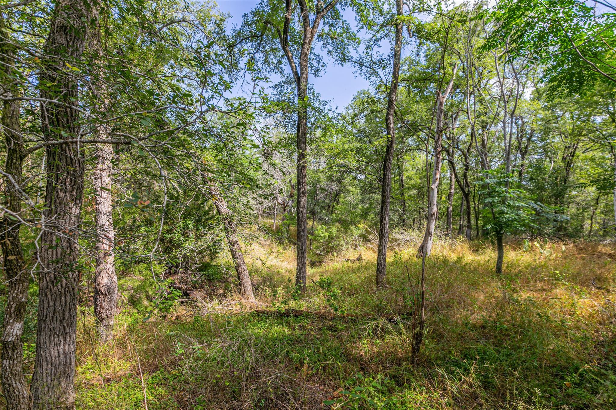 200 Hidden Path Rd, Lockhart, TX 78644