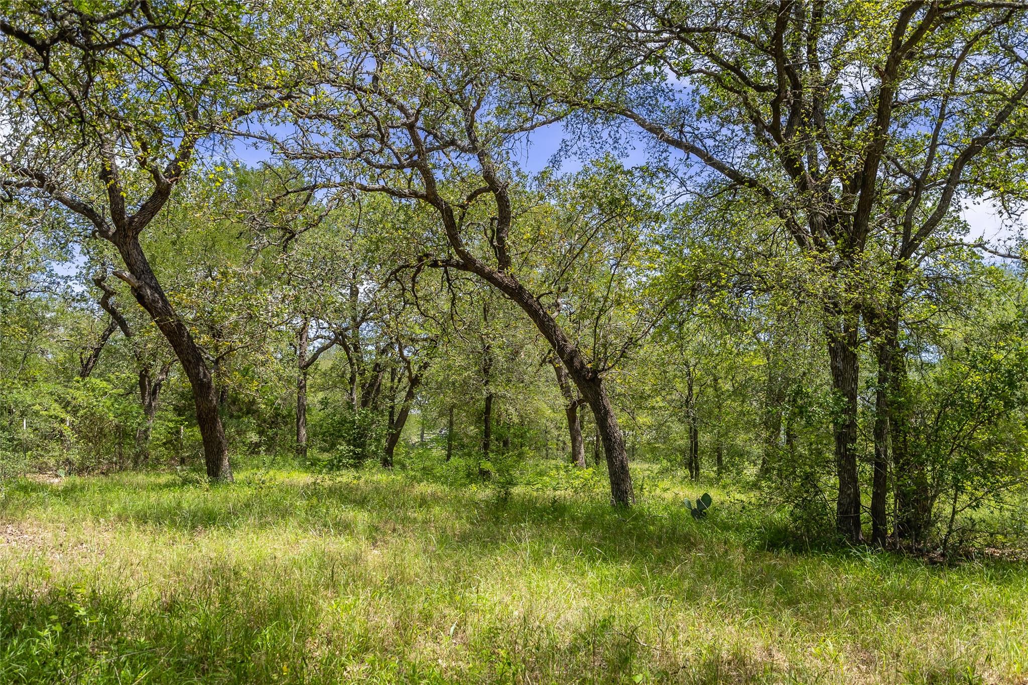 7502 Wells Trce, Manor, TX 78653