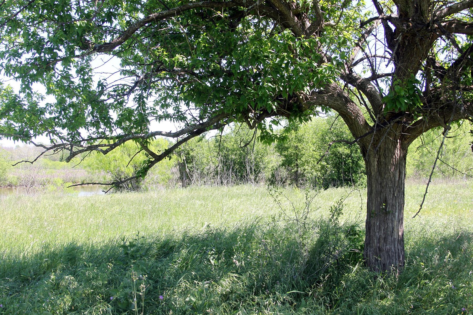 1023 Sierra Dr, Lockhart, TX 78644