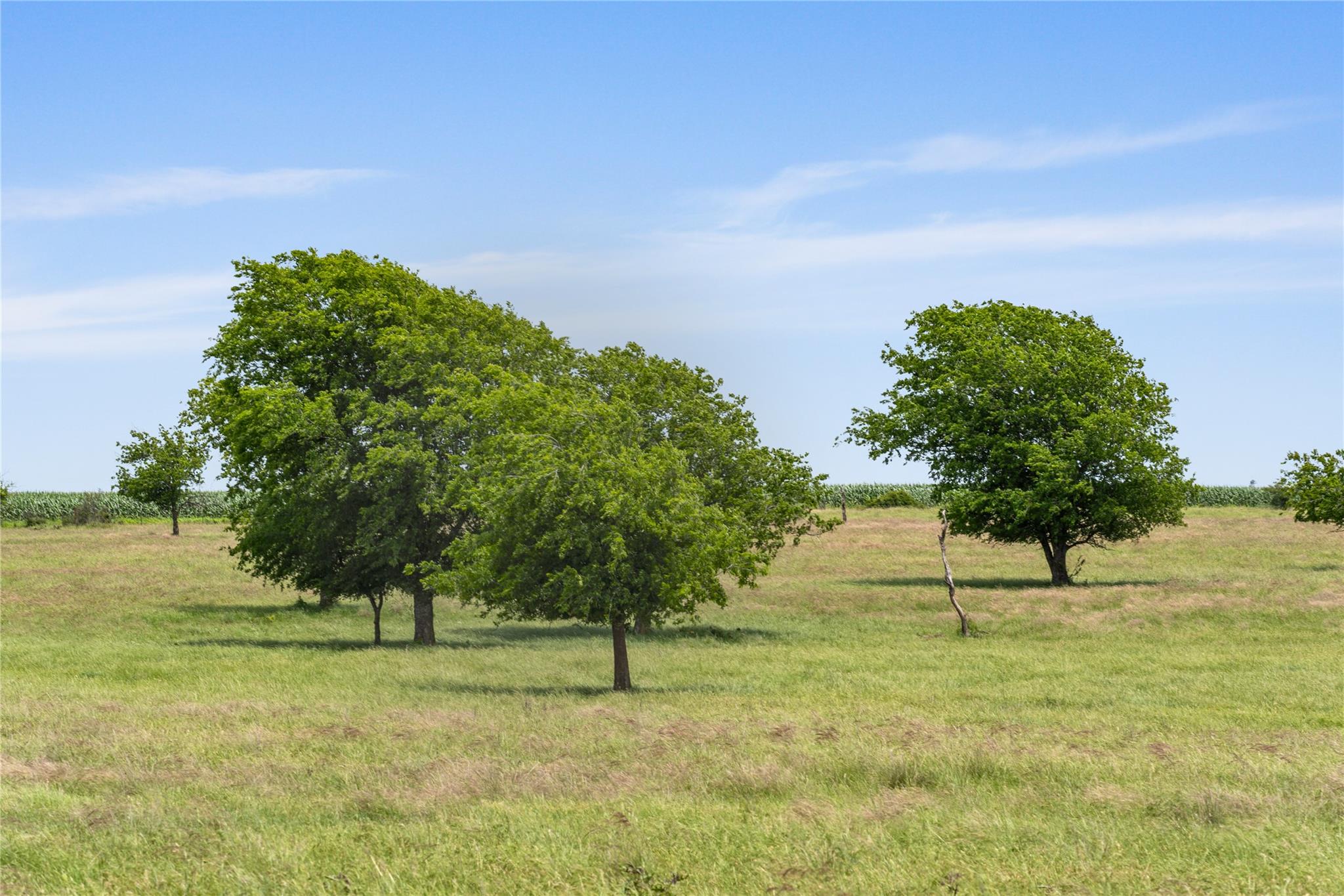 16160 Siler Road Rd, Moody, TX 76557