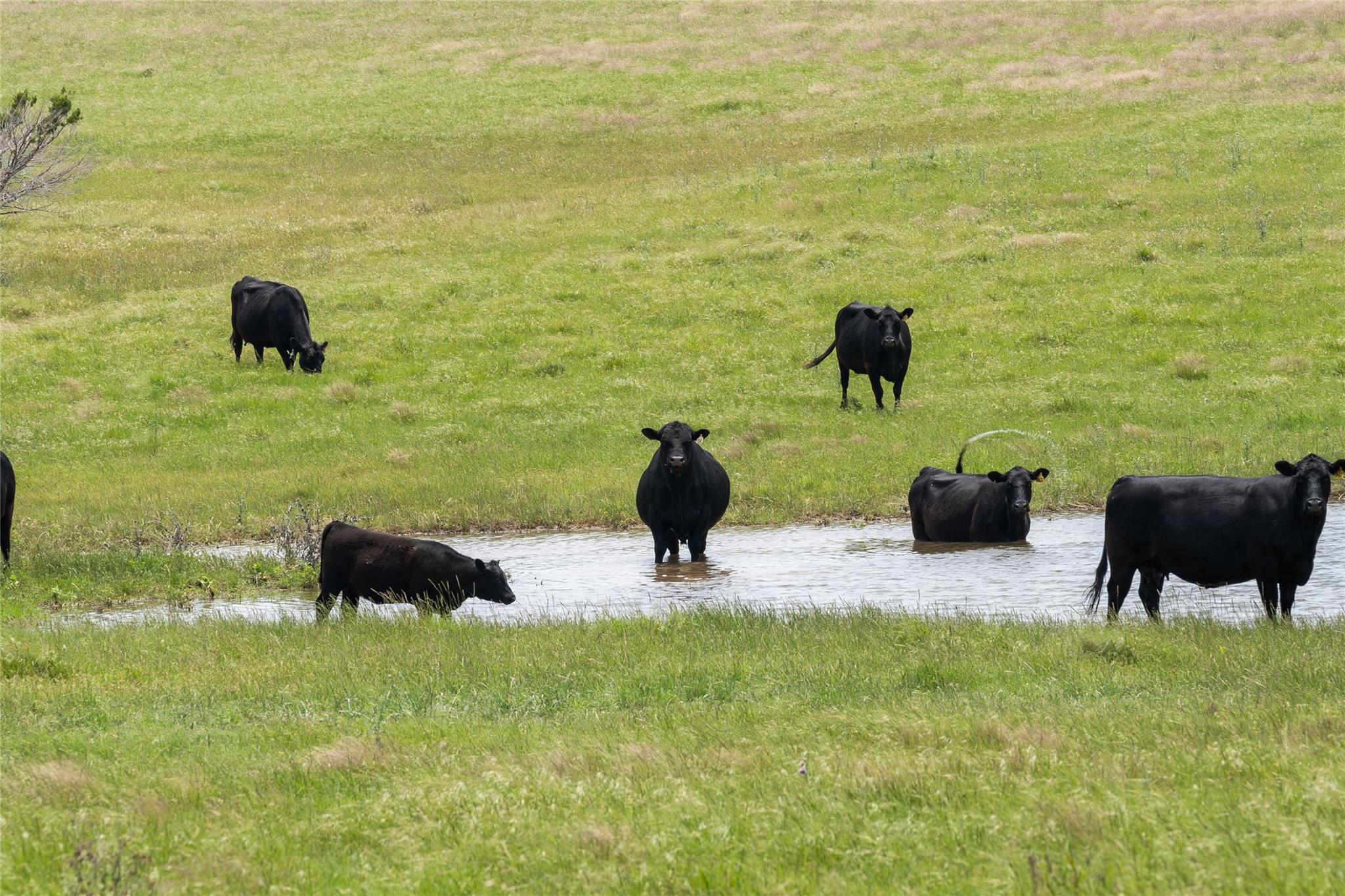 16160 Siler Road Rd, Moody, TX 76557