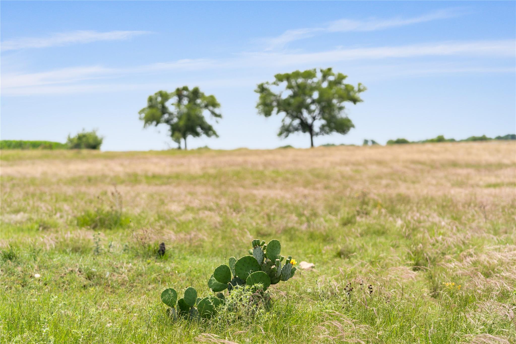 16160 Siler Road Rd, Moody, TX 76557