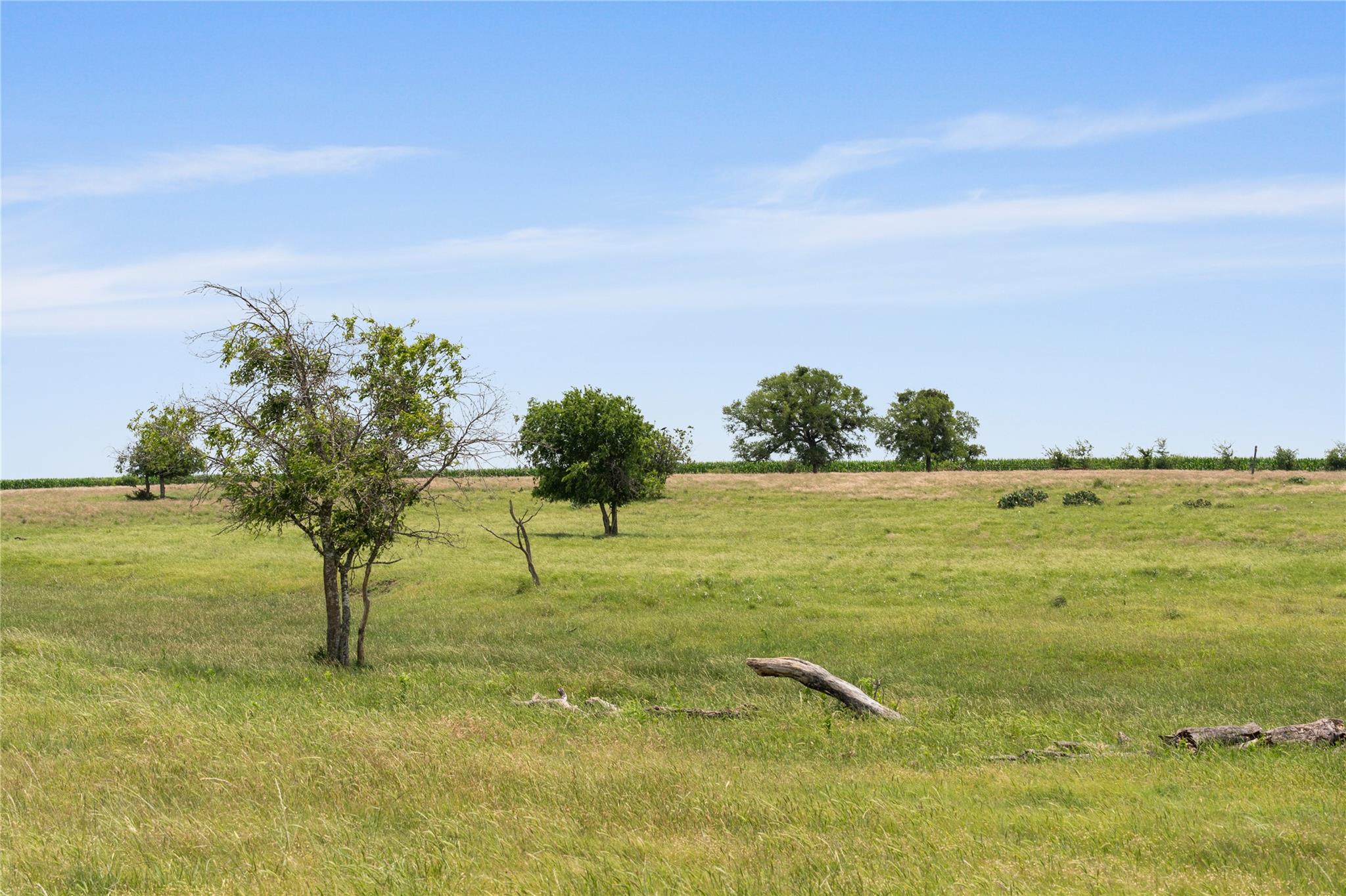 16160 Siler Road Rd, Moody, TX 76557