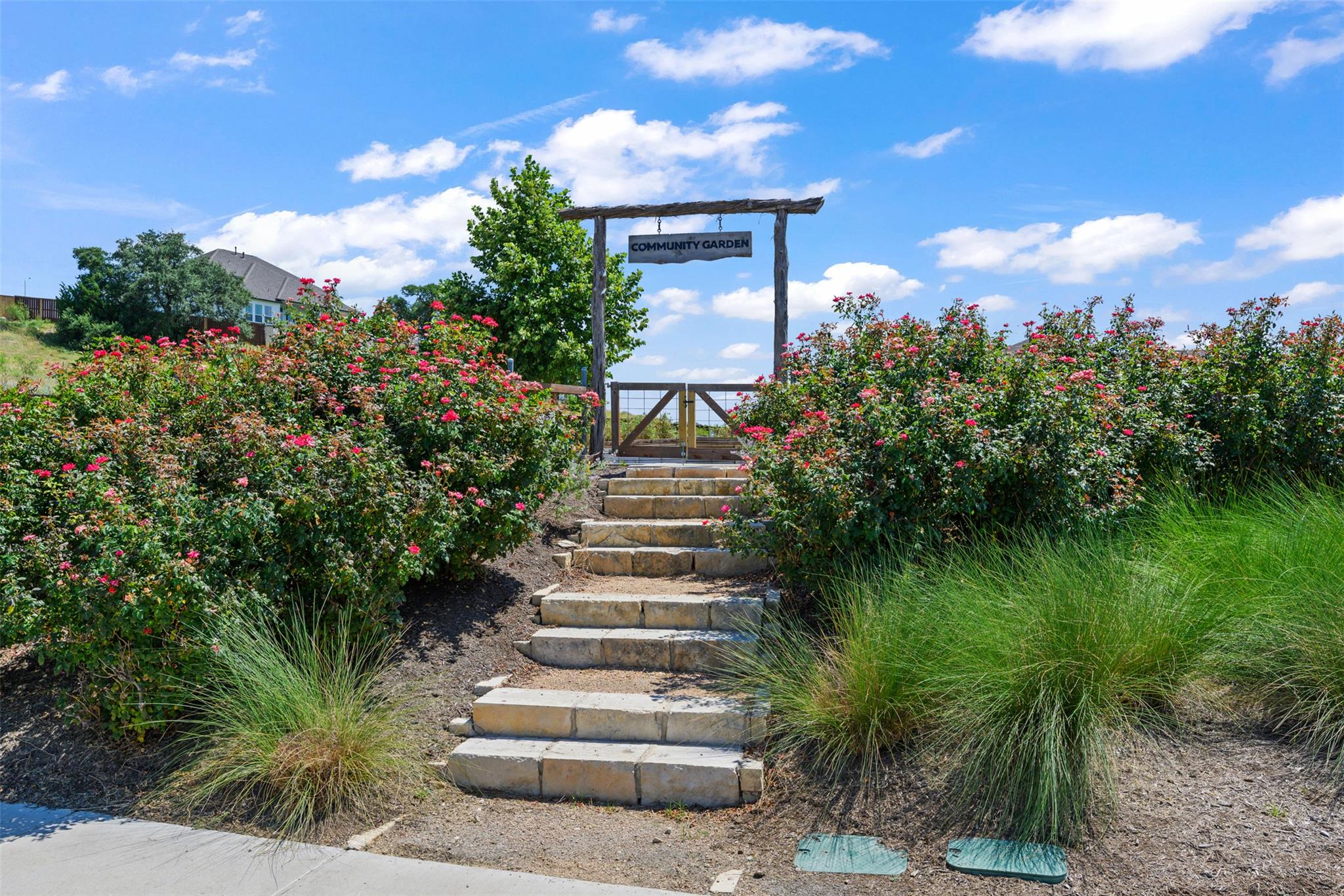 200 Wild Sage Ln, Liberty Hill, TX 78642