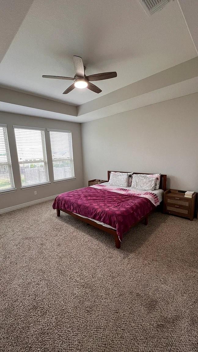 2809 Rabbit Creek Dr, Georgetown, TX 78626