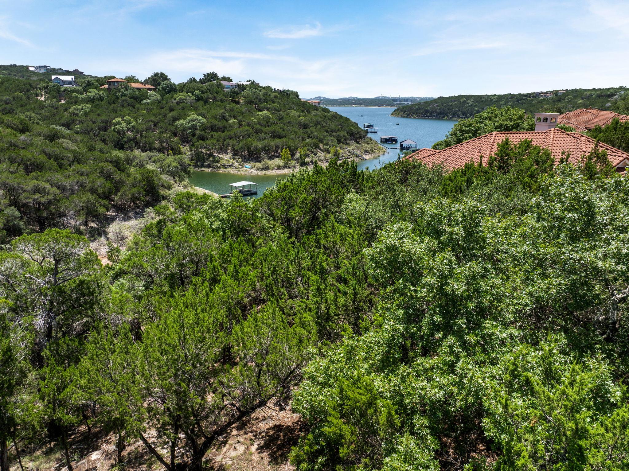 18505 Monet Pointe Dr, Jonestown, TX 78645