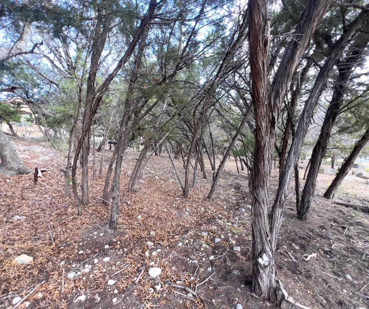 18505 Monet Pointe Dr, Jonestown, TX 78645