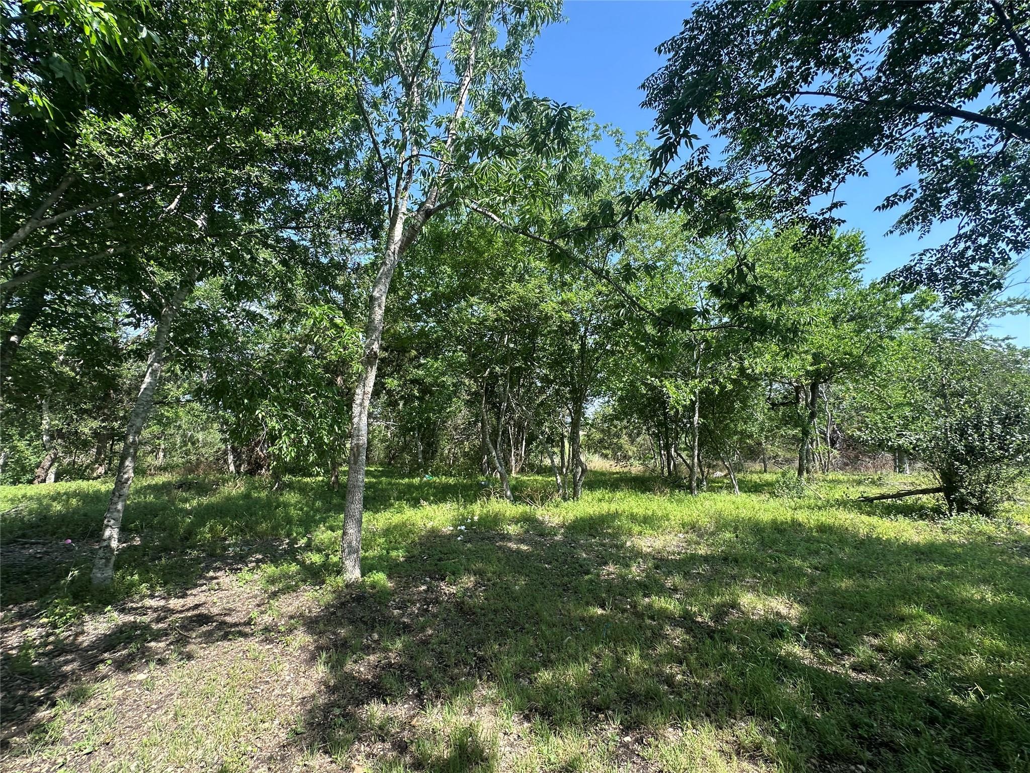 1800 Scull Rd Scull Rd, San Marcos, TX 78666
