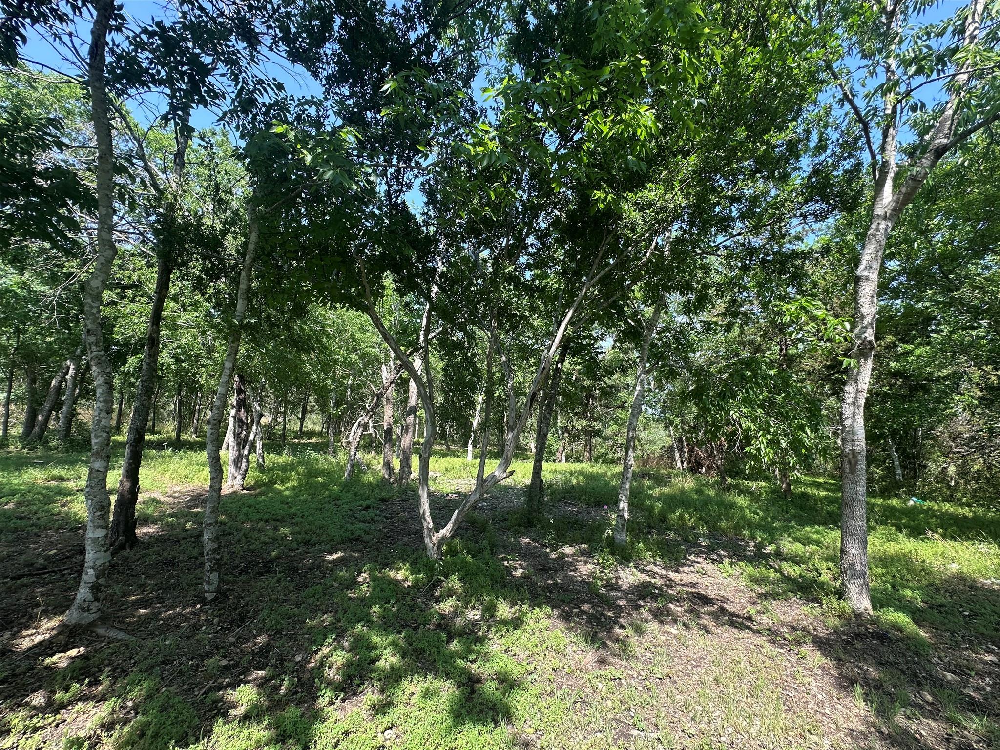 1800 Scull Rd Scull Rd, San Marcos, TX 78666