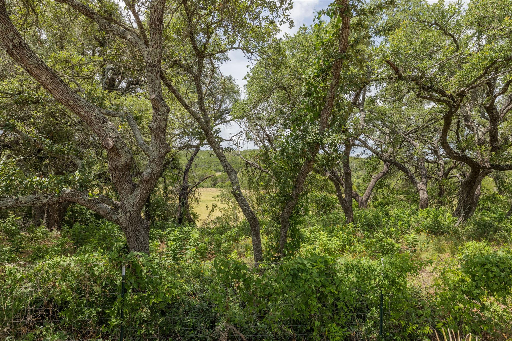 1441 Gatlin Creek Rd, Dripping Springs, TX 78620