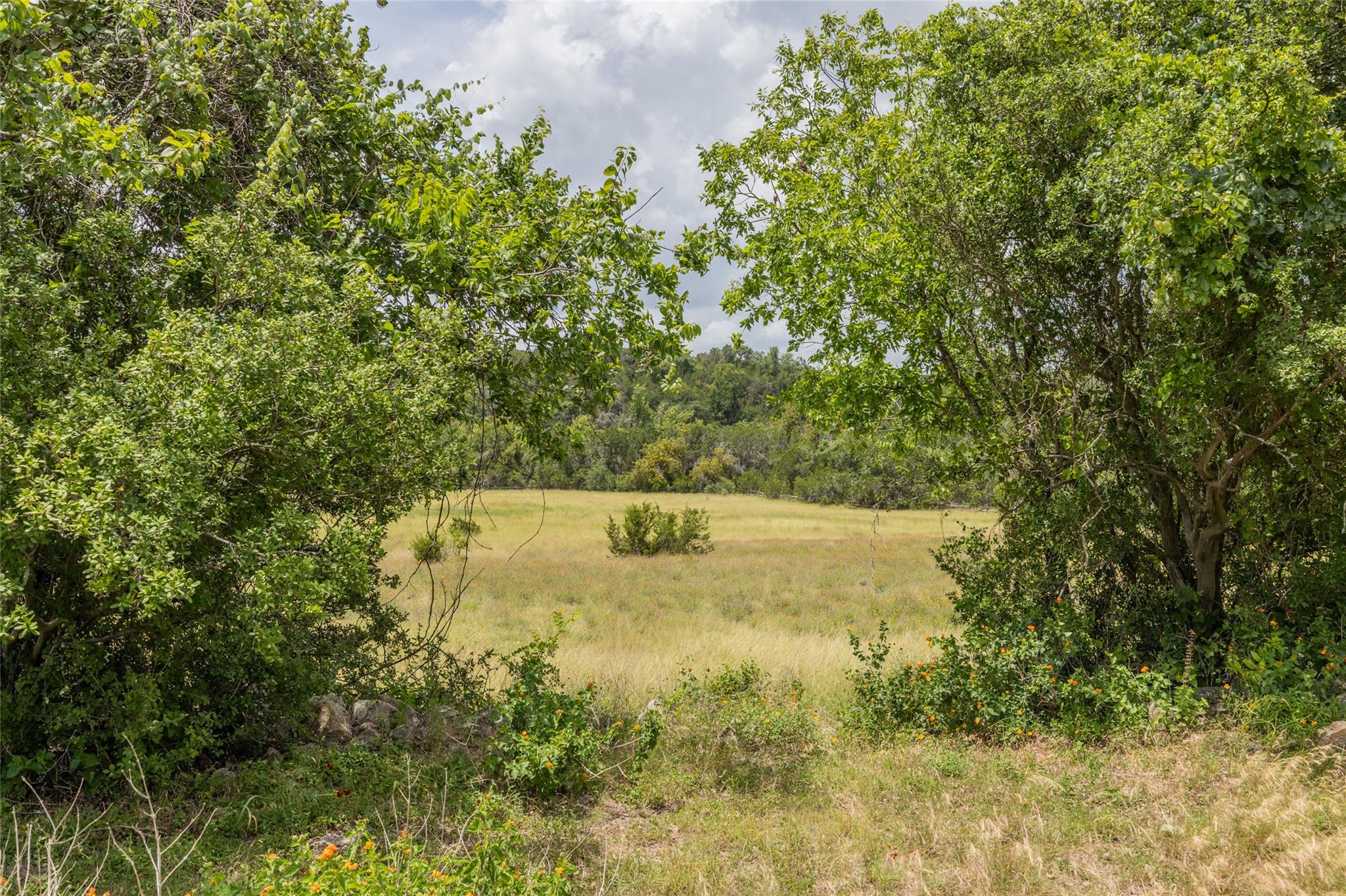 1441 Gatlin Creek Rd, Dripping Springs, TX 78620