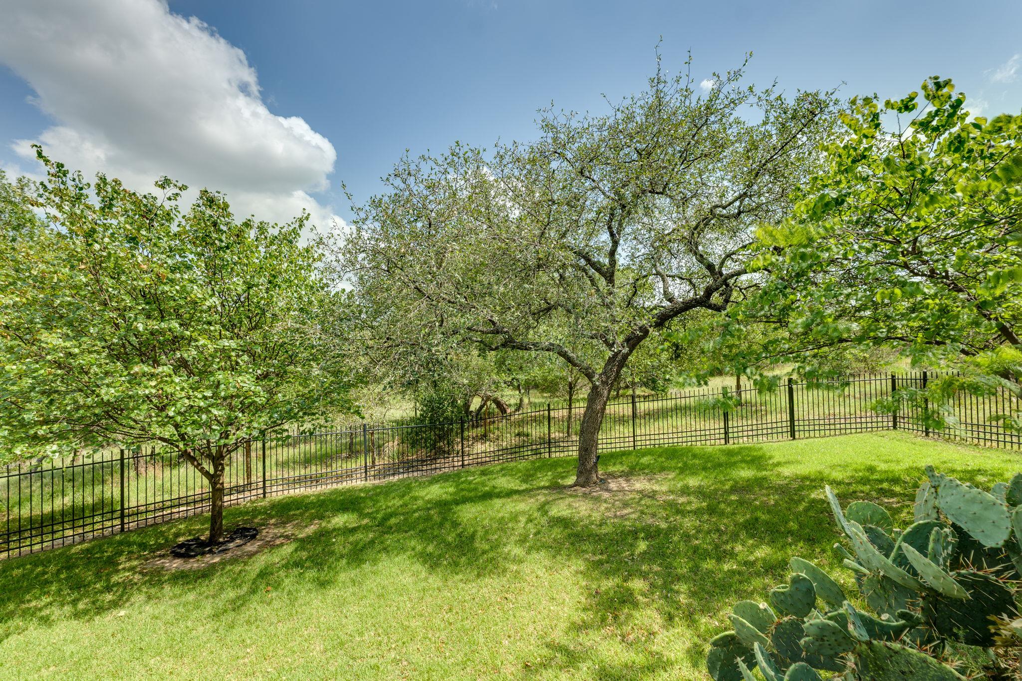 3704 Medicine Hat, Leander, TX 78641