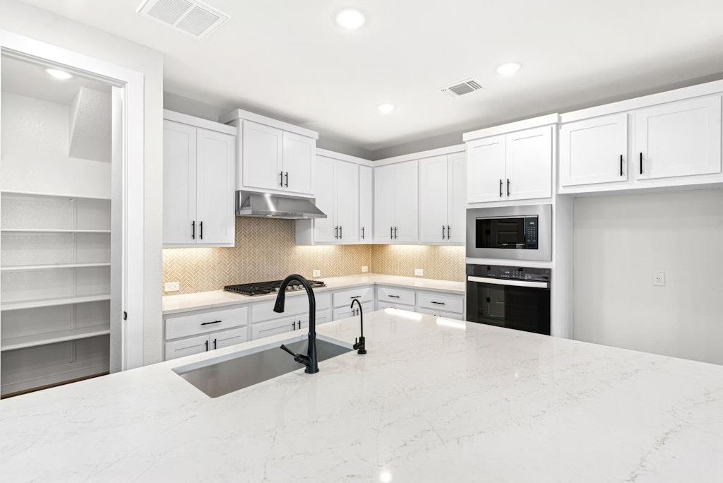 4753 Pleasant Pl, Round Rock, TX 78665