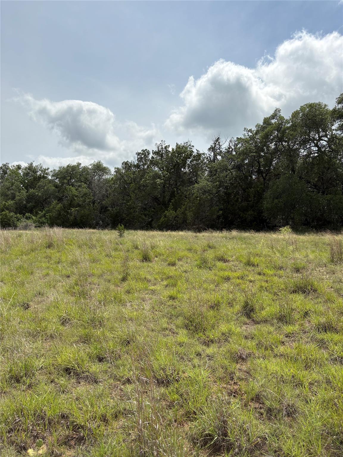 TBD Shovel Mountain Rd, Cypress Mill, TX 78663