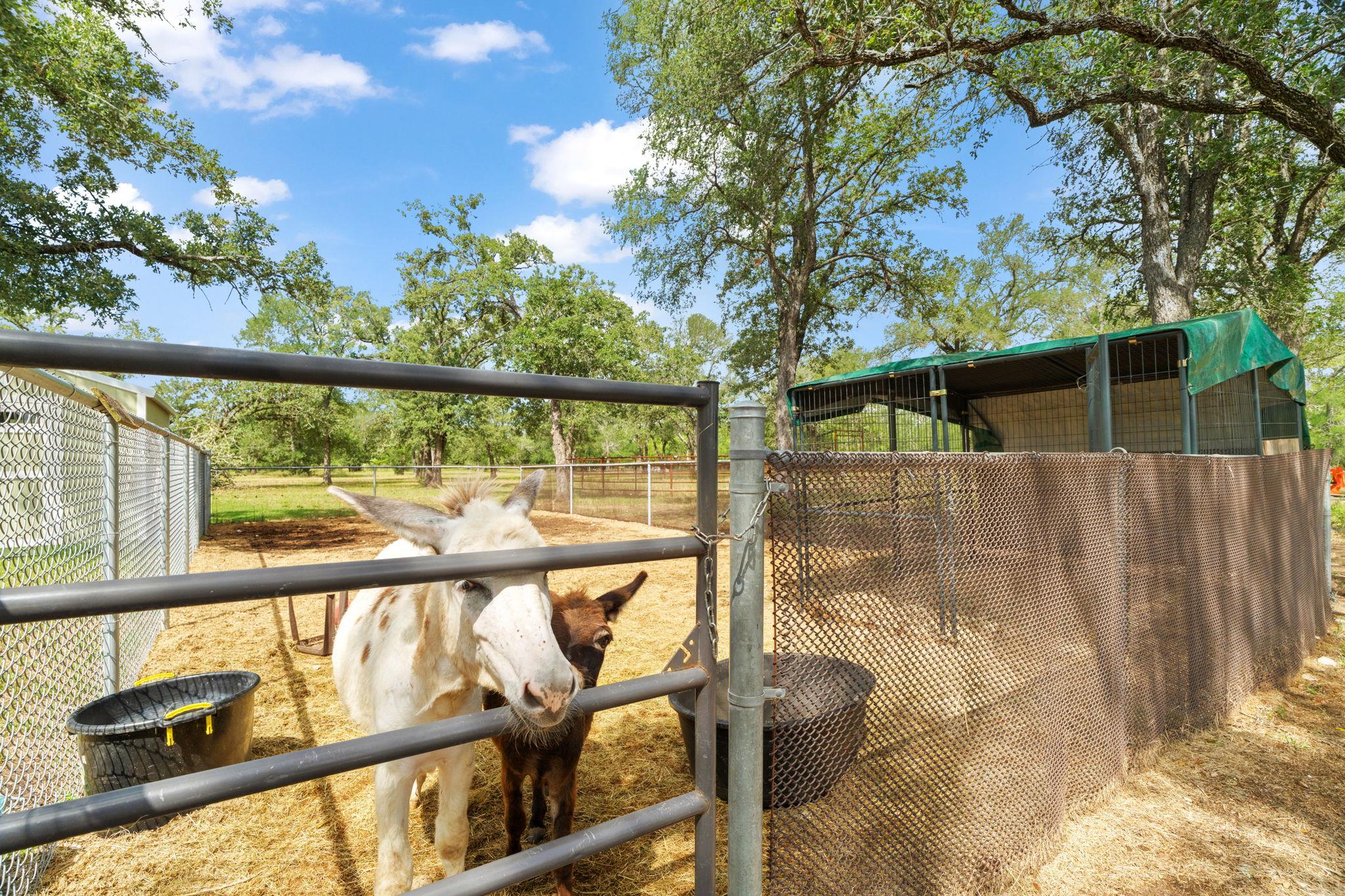 3434 Prairie Lea Rd, Kingsbury, TX 78638