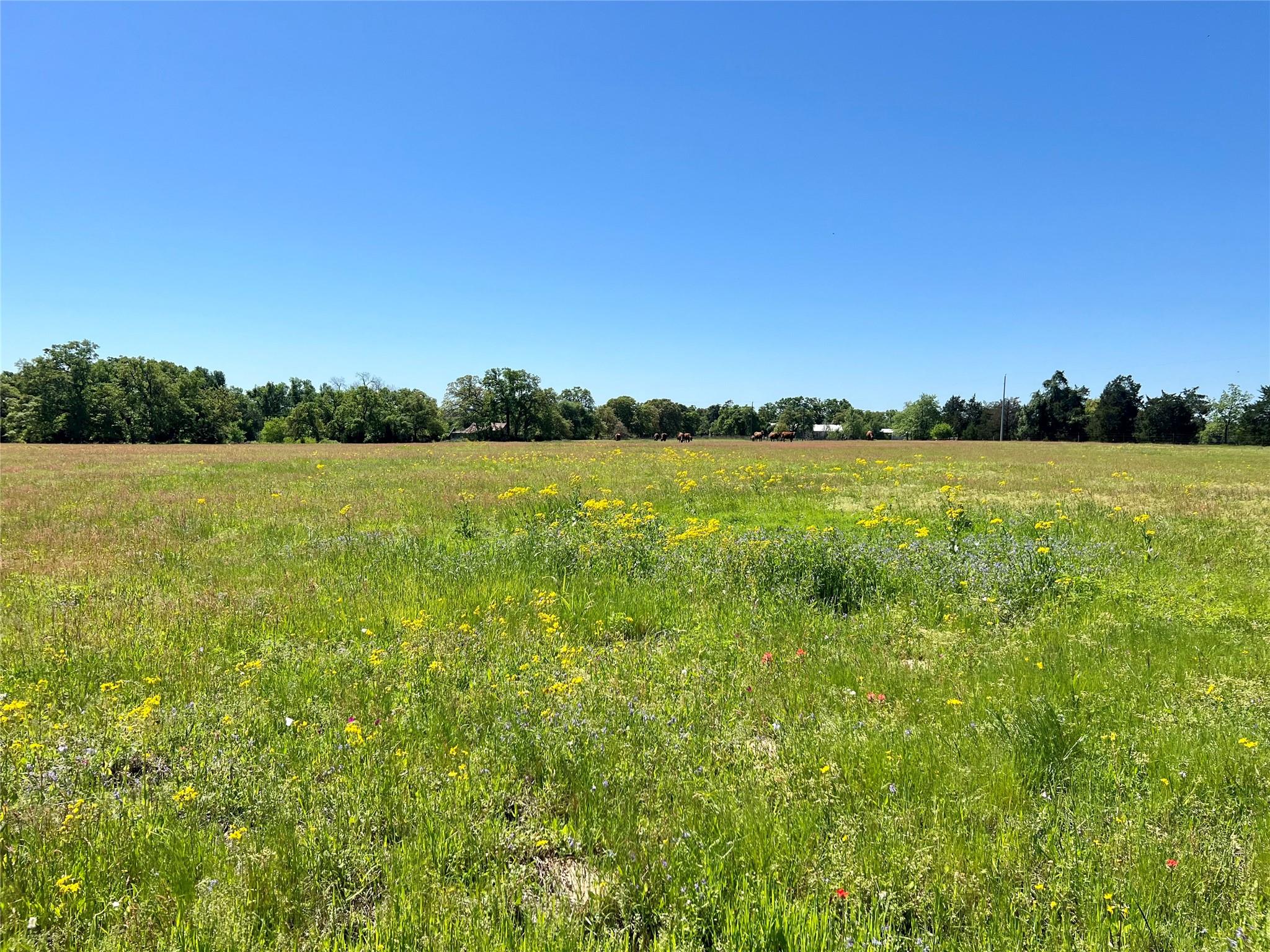 2542 County Road 306, Lexington, TX 78947