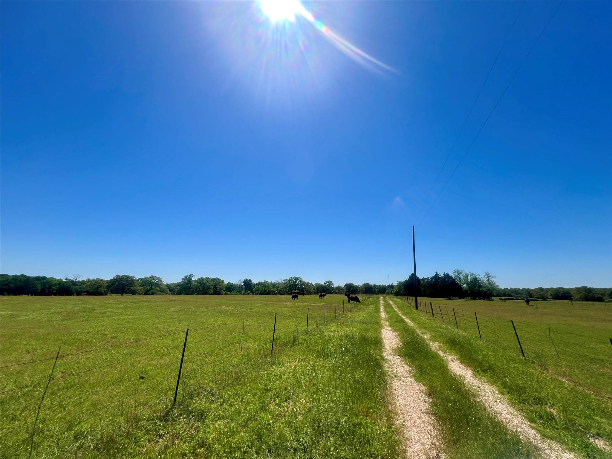 2542 County Road 306, Lexington, TX 78947