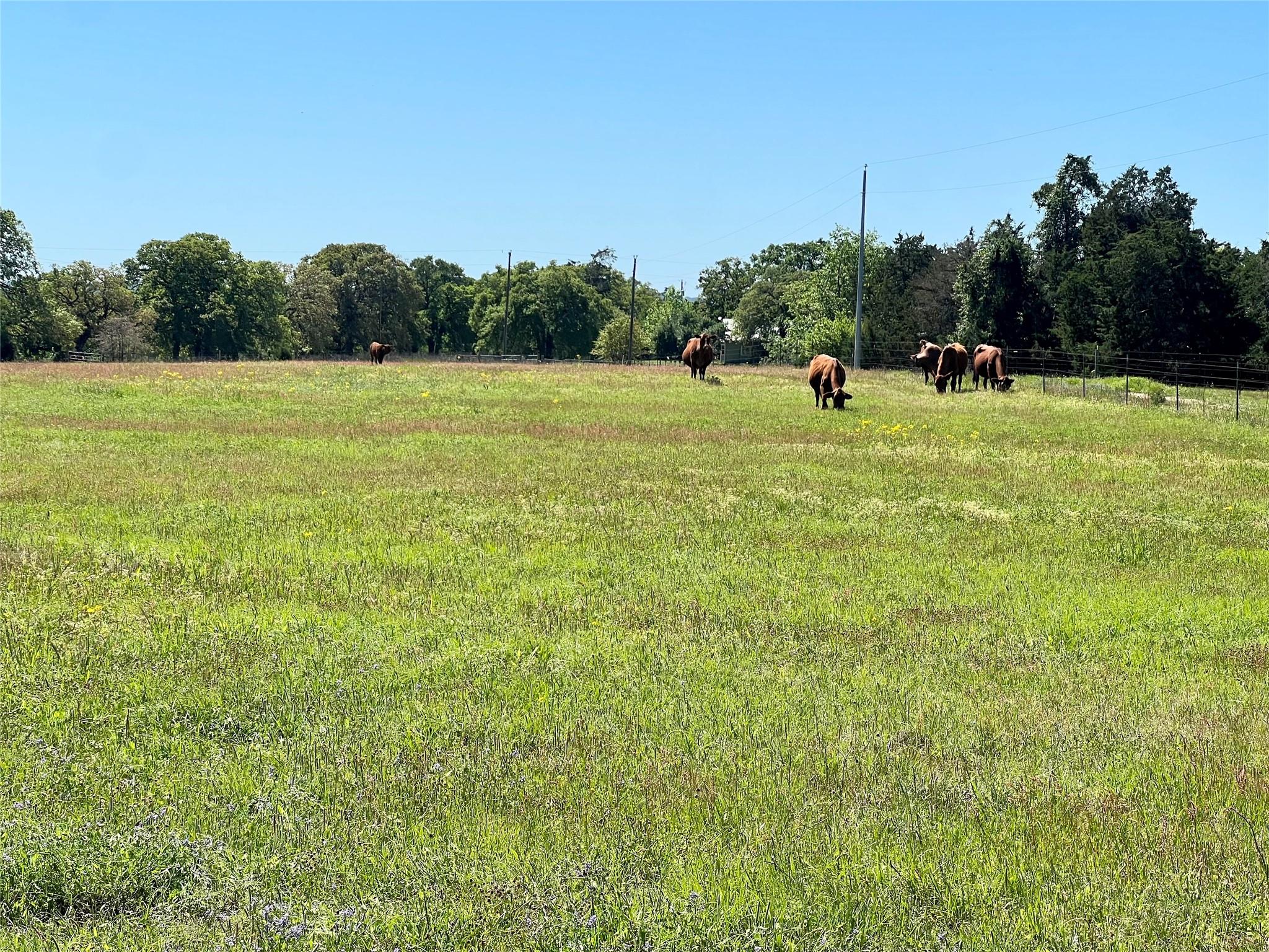 2542 County Road 306, Lexington, TX 78947