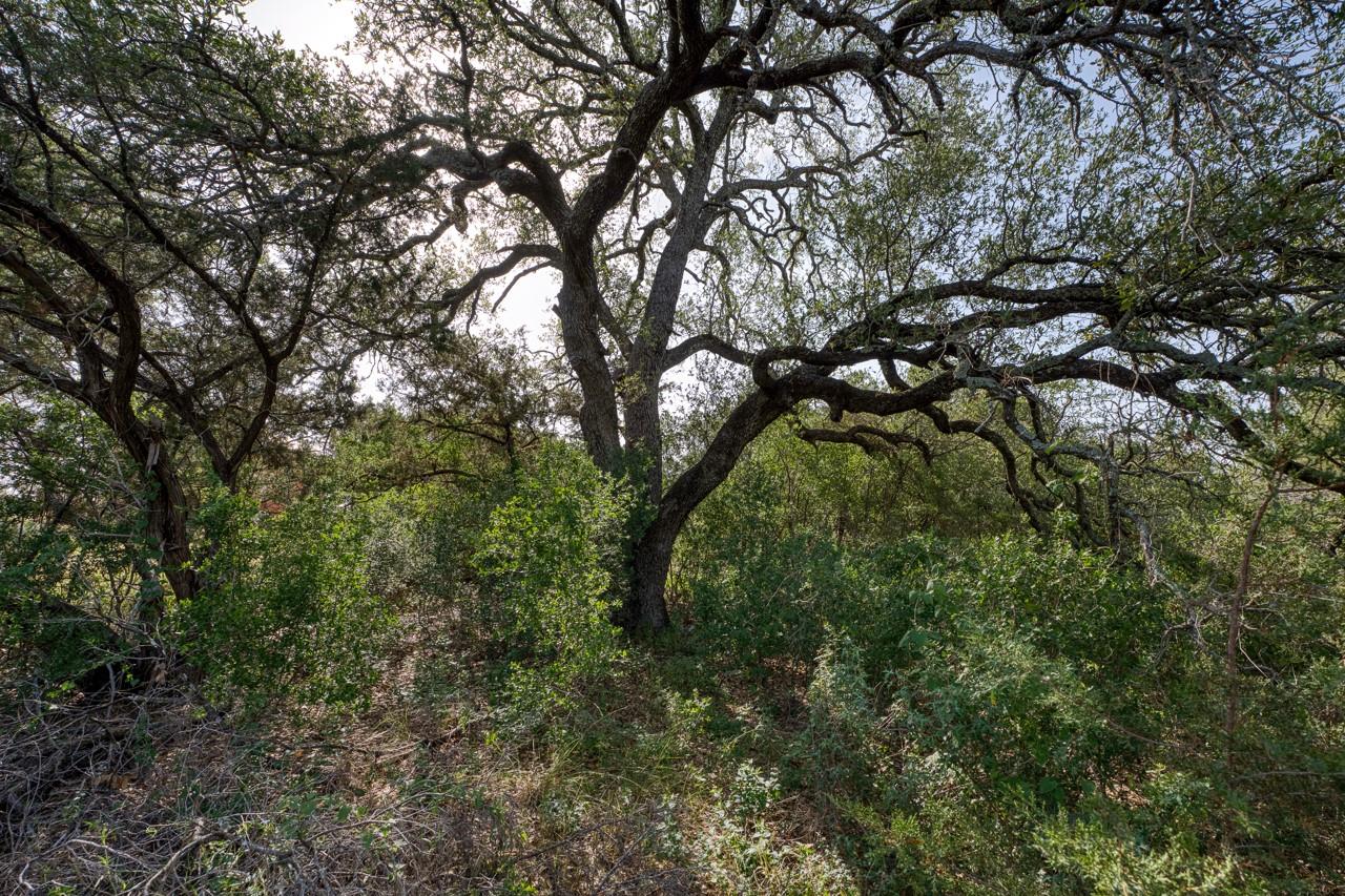 271 The Rock Rd, Buchanan Dam, TX 78609