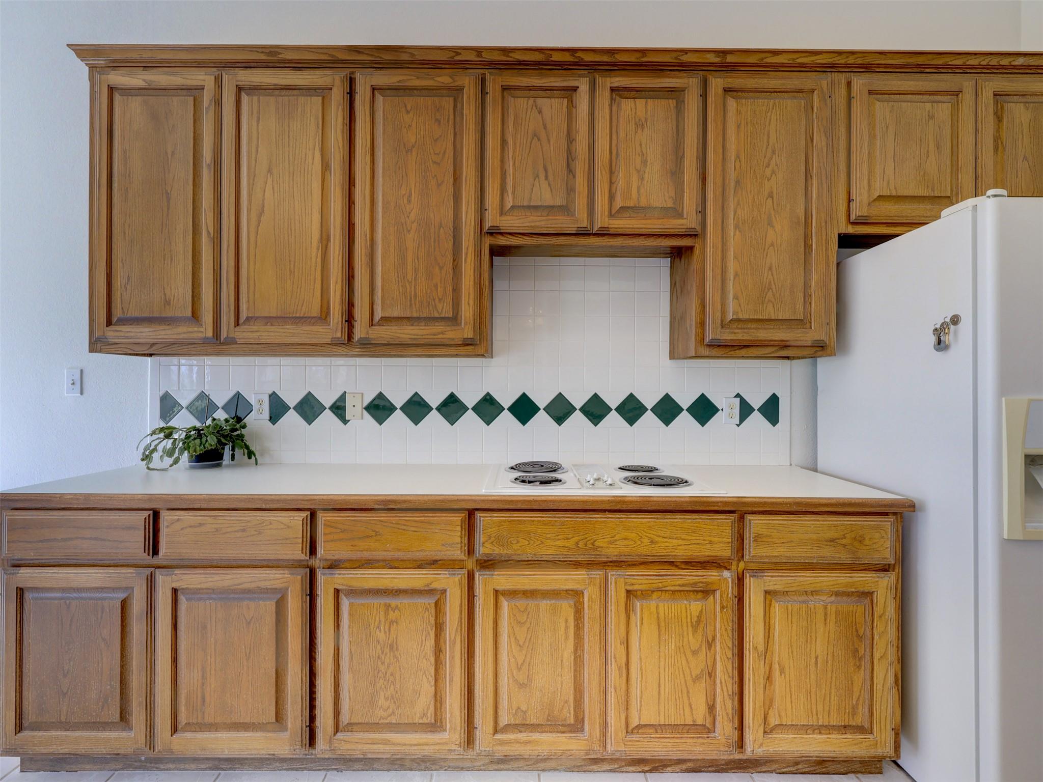 13109 Madrone Mountain Way, Austin, TX 78737