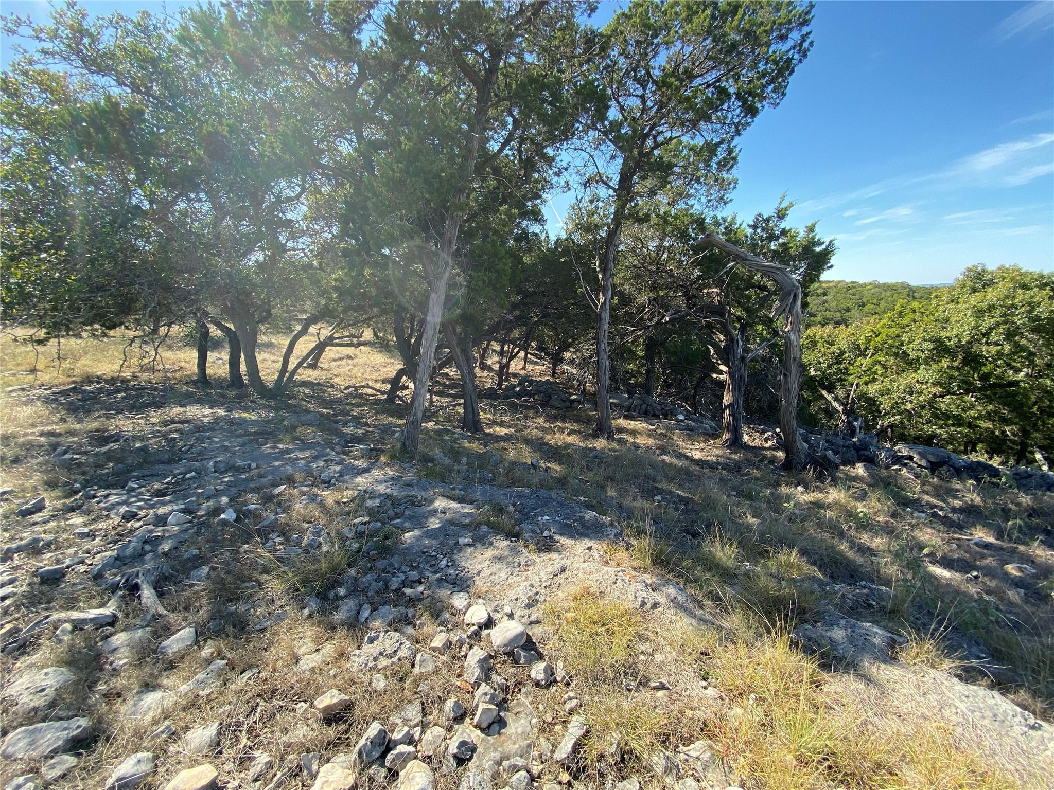 1350 Serenity Dr, Fischer, TX 78623