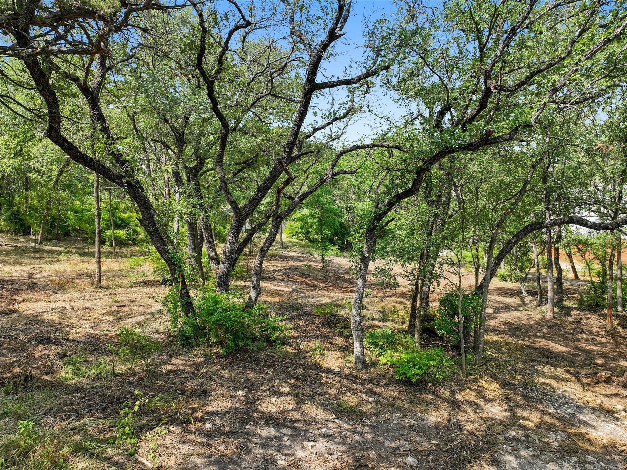 1801 Lightsey Rd, Austin, TX 78704