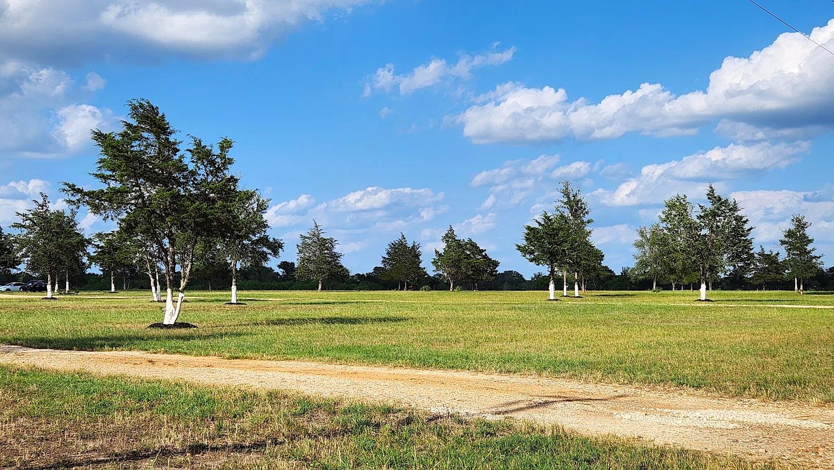 626 Sparta Field Rd, Waelder, TX 78959