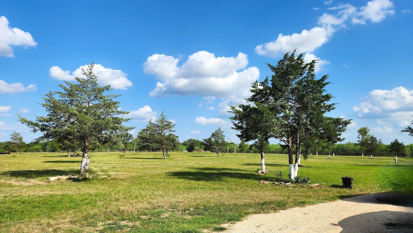 626 Sparta Field Rd, Waelder, TX 78959