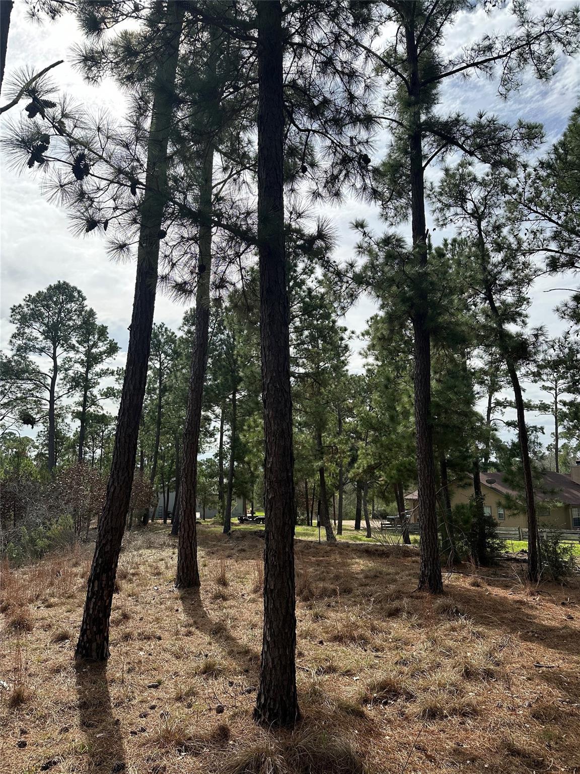 TBD Mahalo Ct, Bastrop, TX 78602