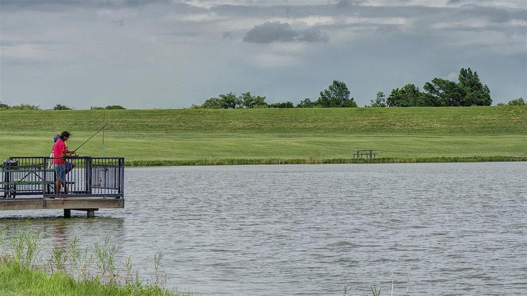 284 Basket Flower Loop, Kyle, TX 78640