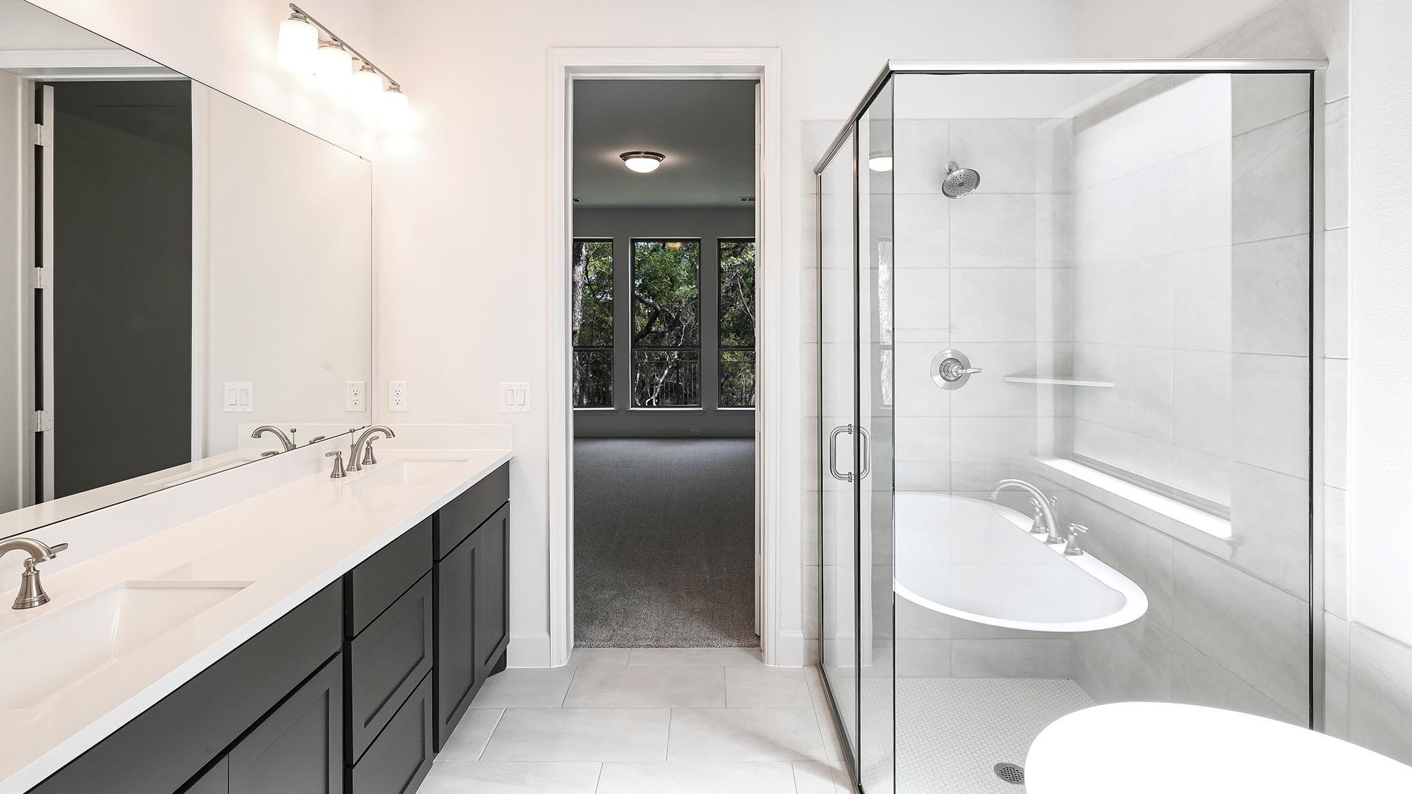 284 Basket Flower Loop, Kyle, TX 78640