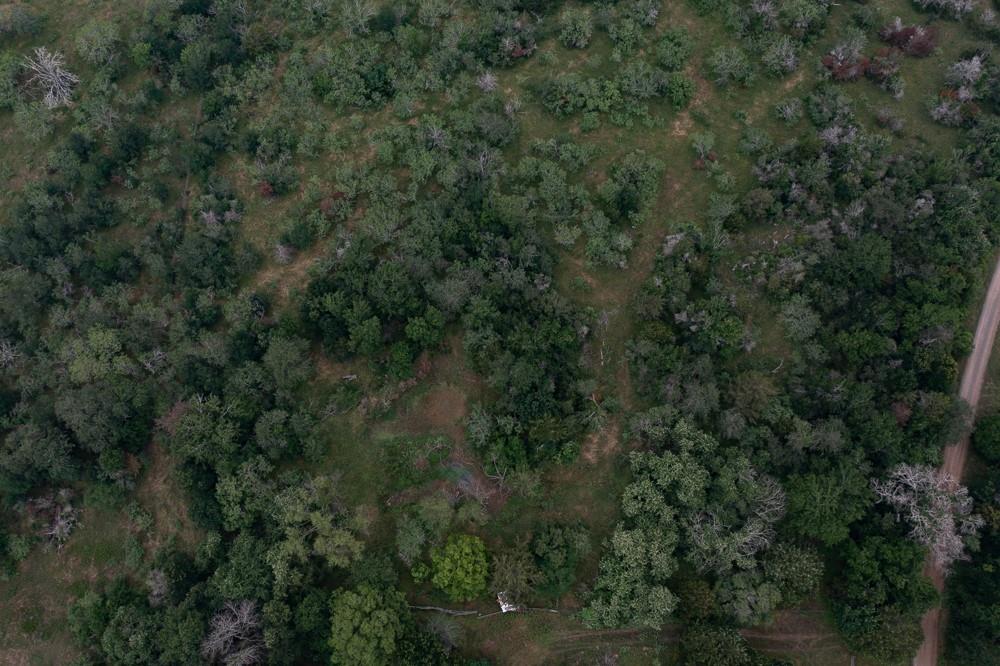 LOT 2 Private Road 4601, Waelder, TX 78959