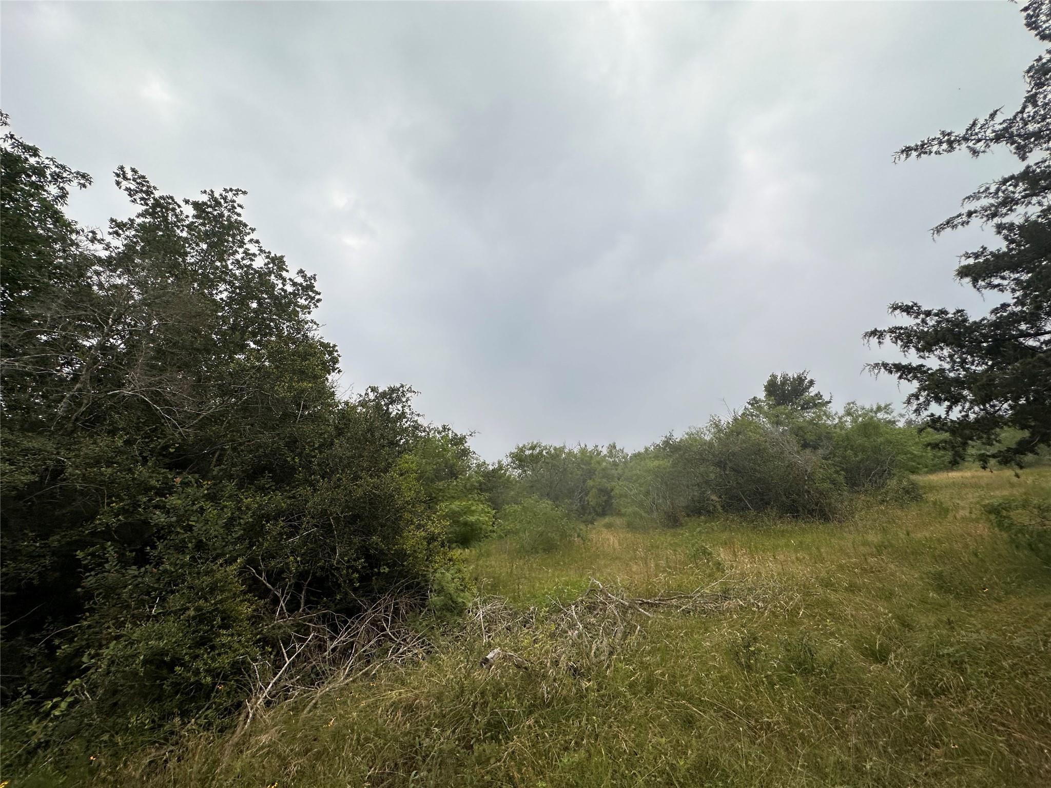 LOT 2 Private Road 4601, Waelder, TX 78959