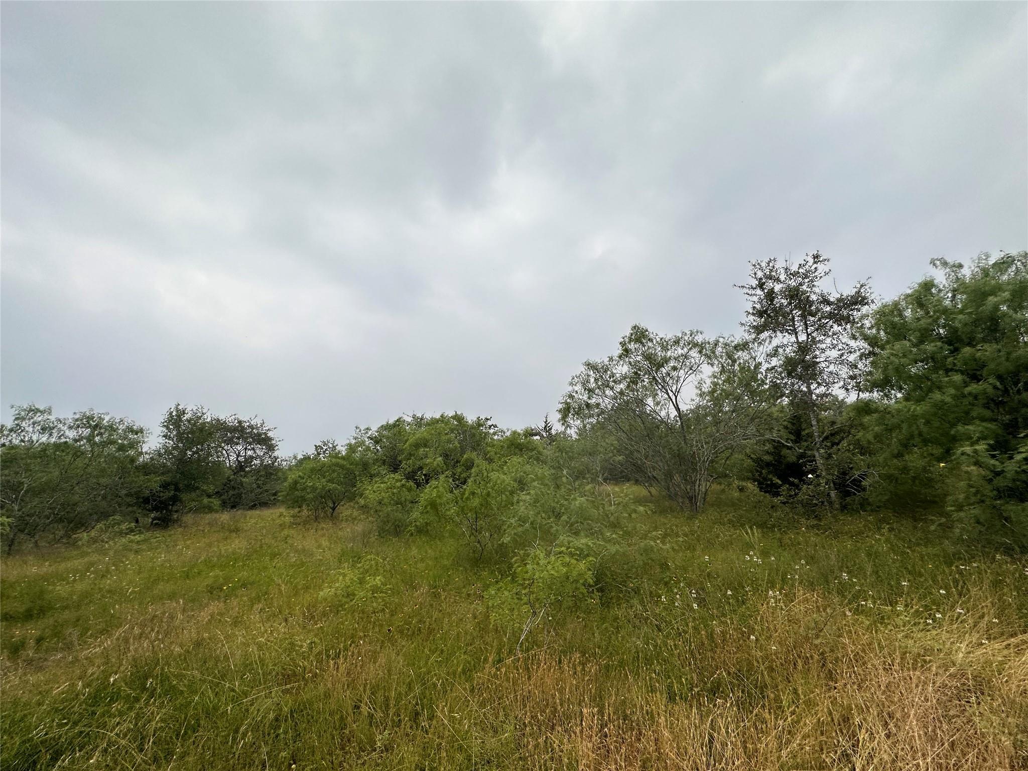 LOT 2 Private Road 4601, Waelder, TX 78959