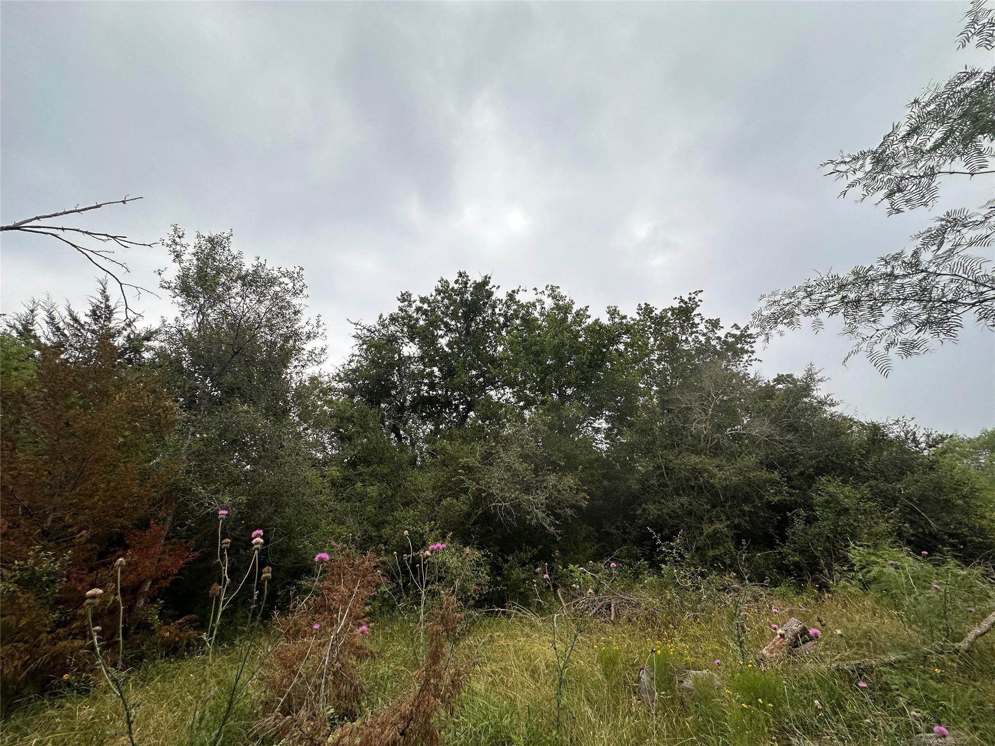 LOT 2 Private Road 4601, Waelder, TX 78959