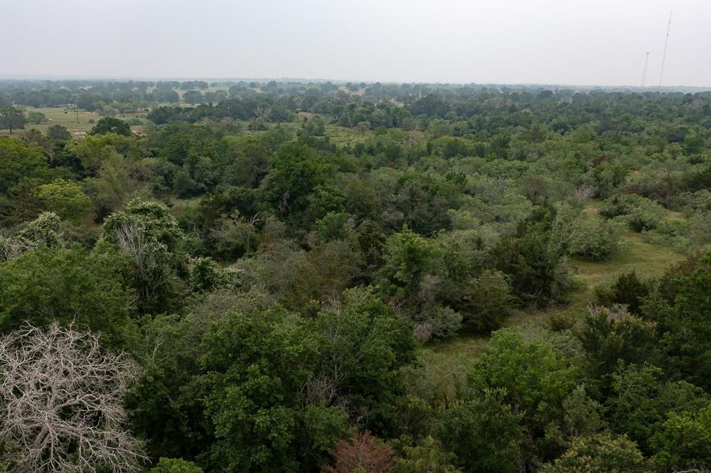 LOT 2 Private Road 4601, Waelder, TX 78959