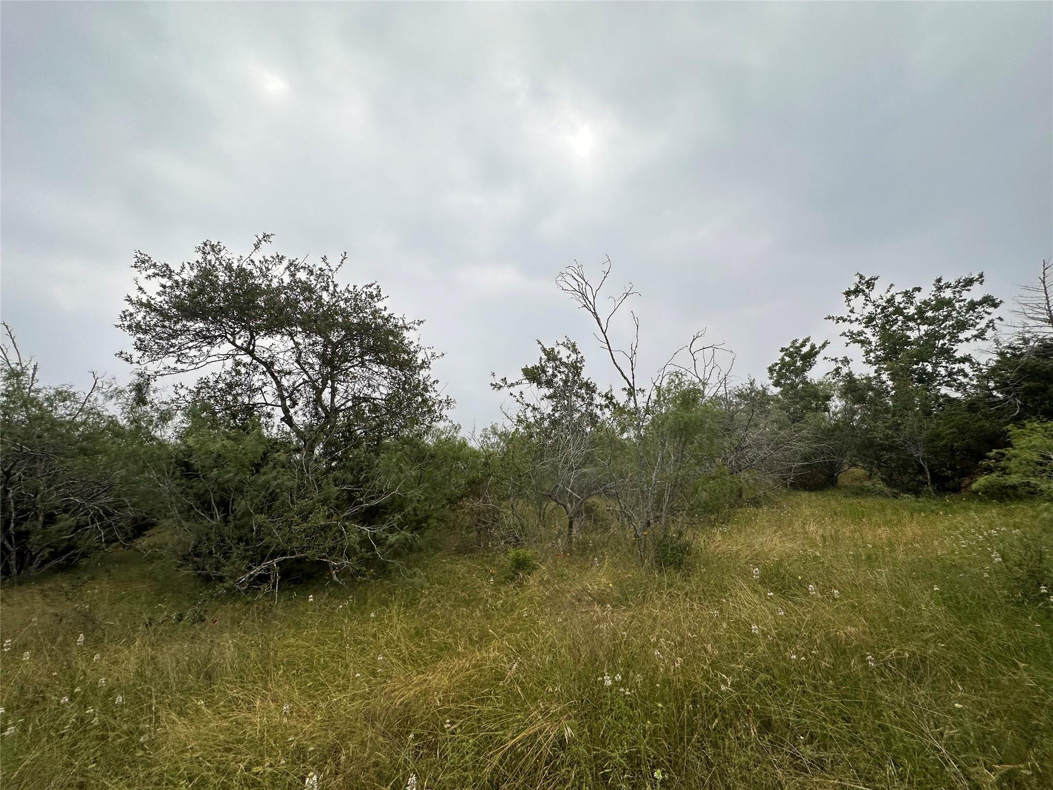 LOT 2 Private Road 4601, Waelder, TX 78959