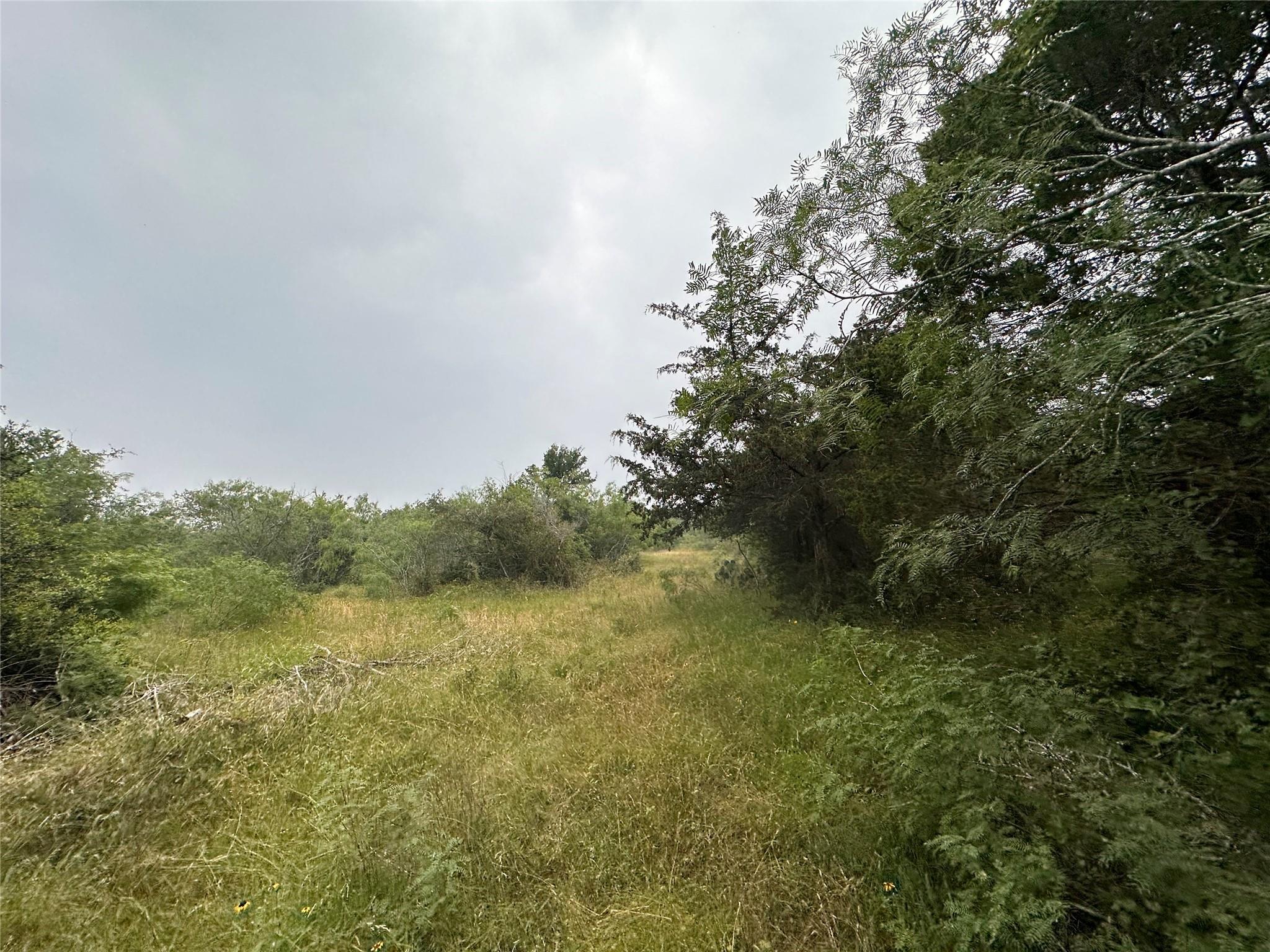 LOT 2 Private Road 4601, Waelder, TX 78959