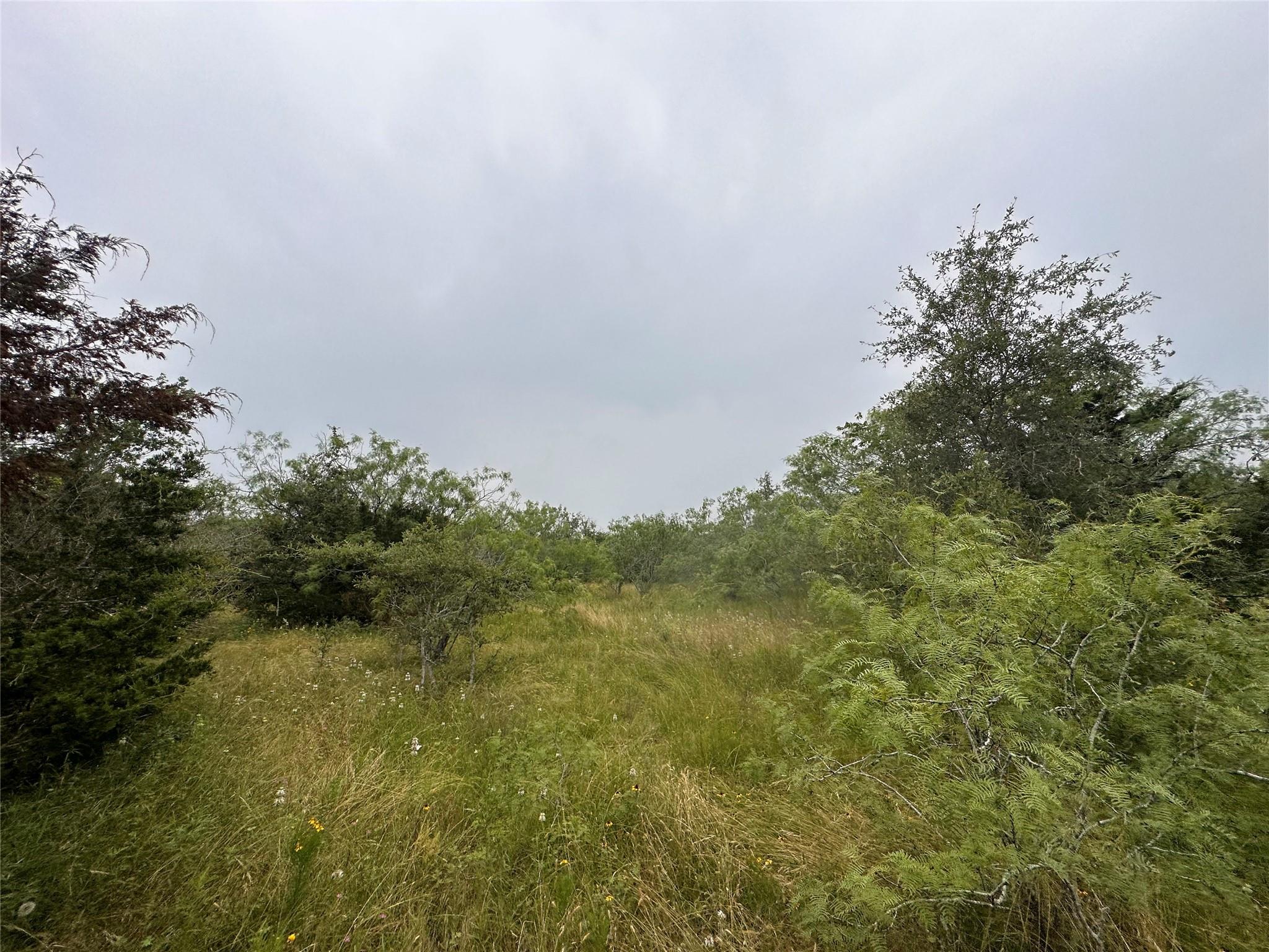LOT 2 Private Road 4601, Waelder, TX 78959