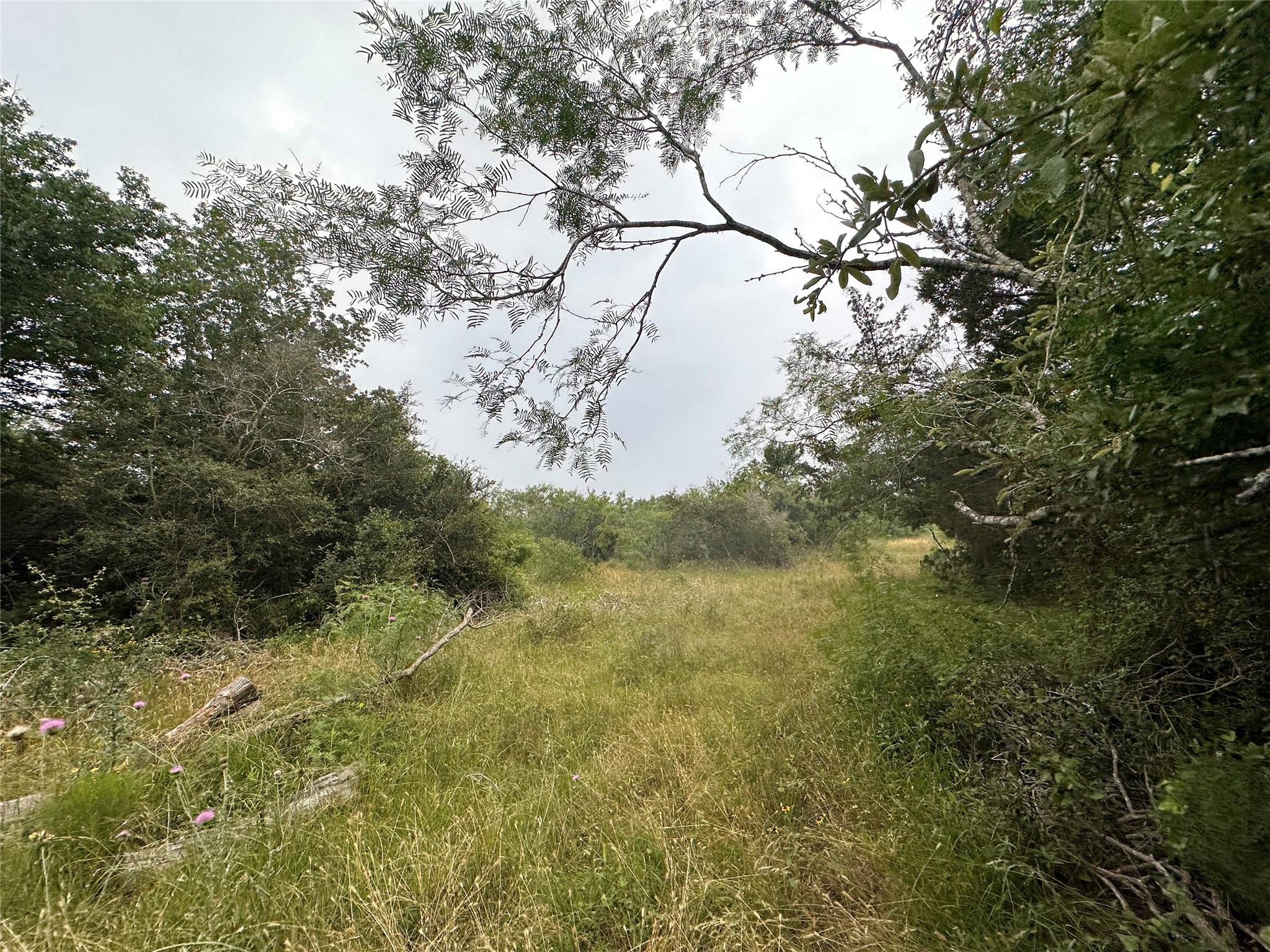 LOT 2 Private Road 4601, Waelder, TX 78959