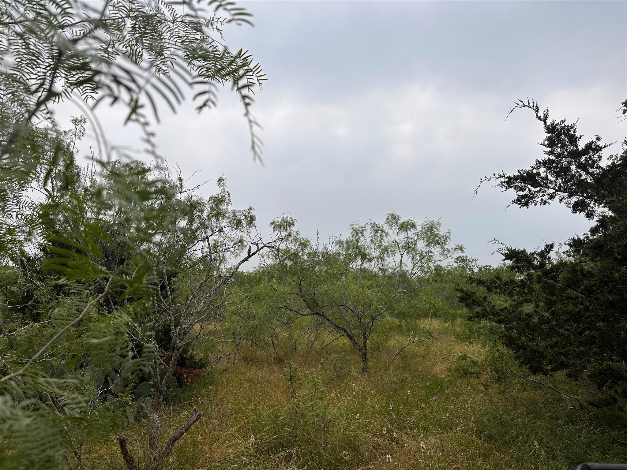LOT 3 Private Road 4601, Waelder, TX 78959