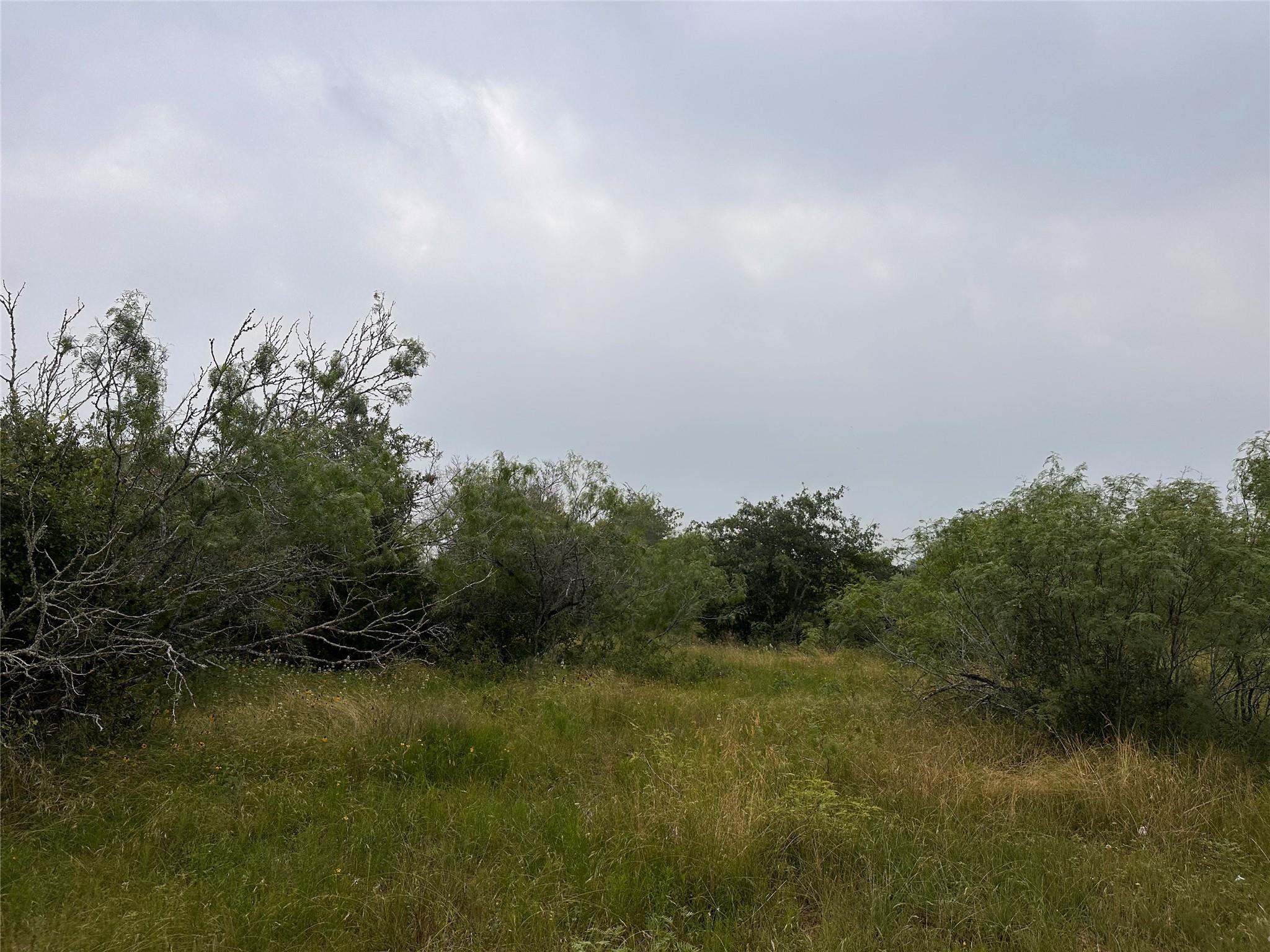 LOT 3 Private Road 4601, Waelder, TX 78959