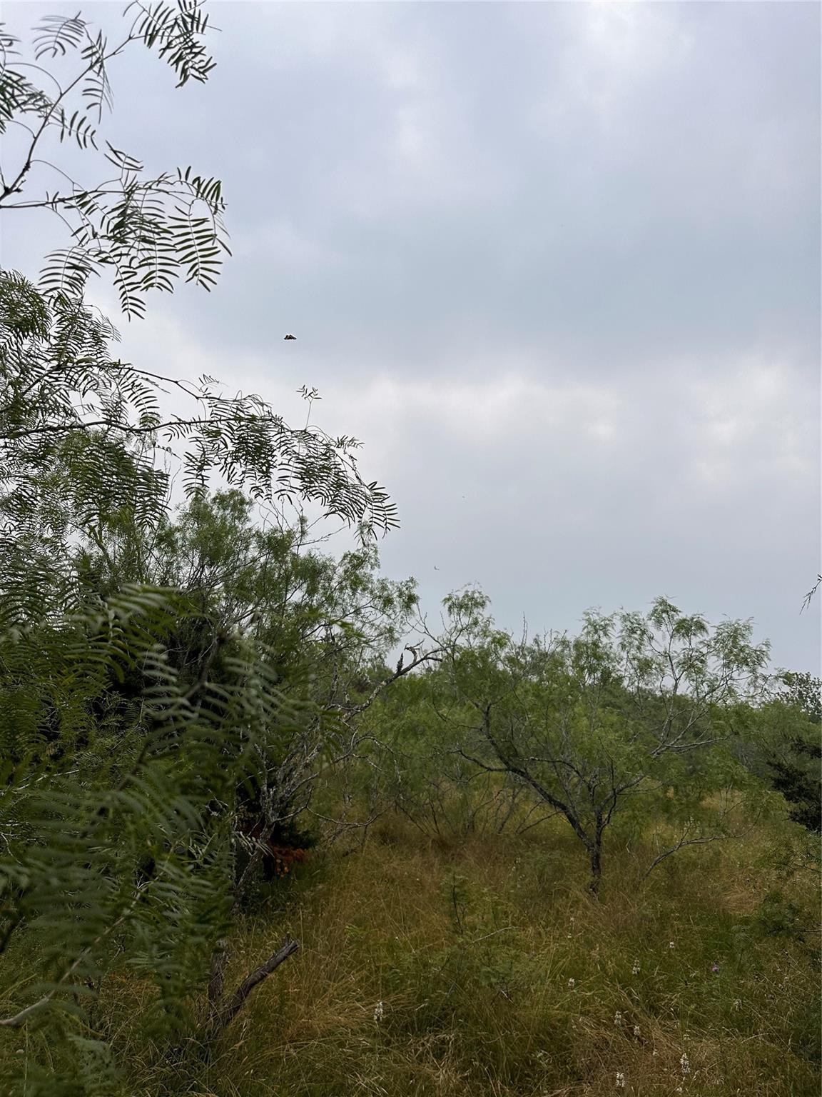 LOT 3 Private Road 4601, Waelder, TX 78959