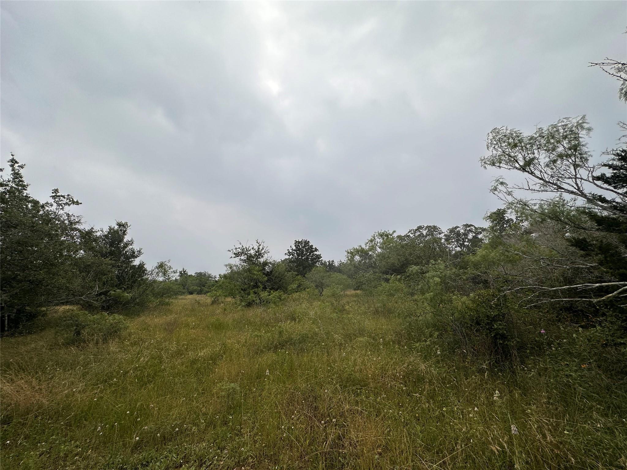 LOT 3 Private Road 4601, Waelder, TX 78959