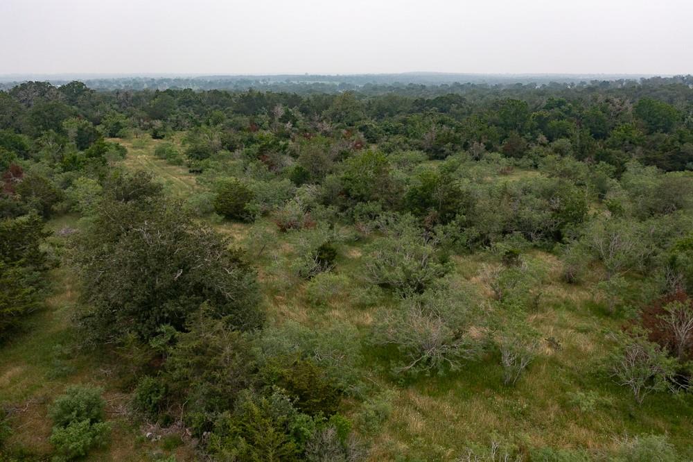 LOT 3 Private Road 4601, Waelder, TX 78959