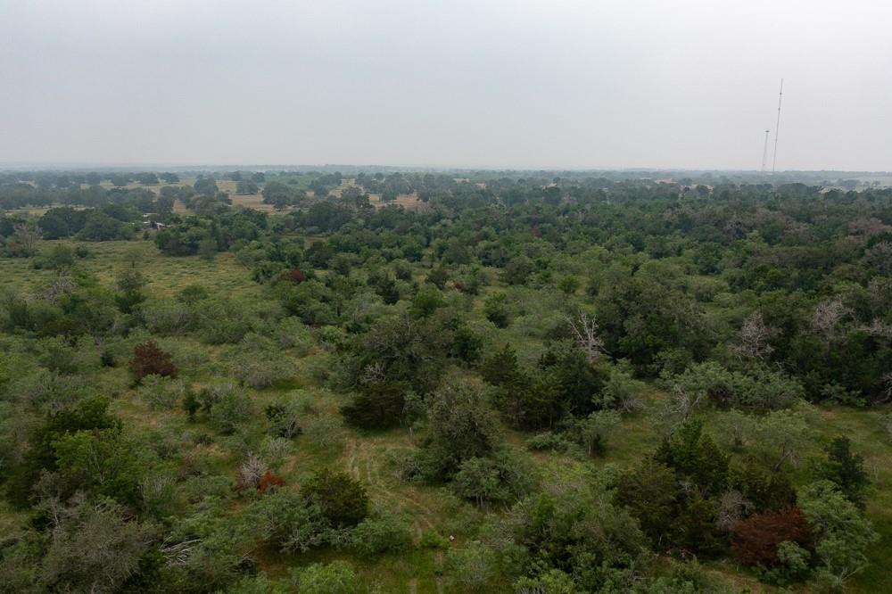 LOT 3 Private Road 4601, Waelder, TX 78959